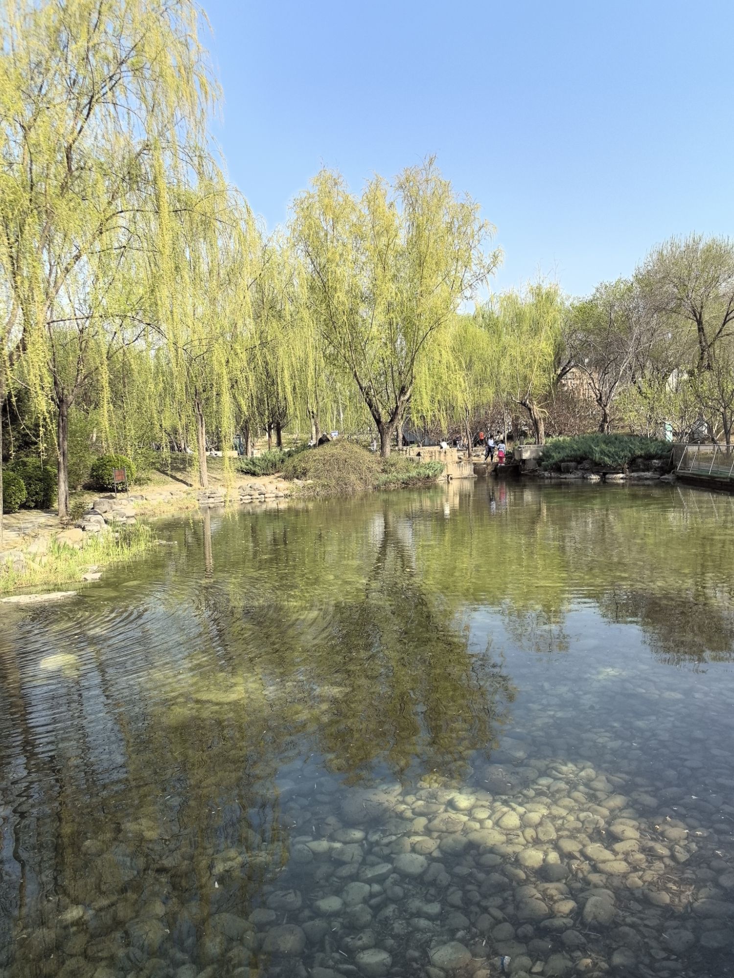 庆丰公园旅行图片 2