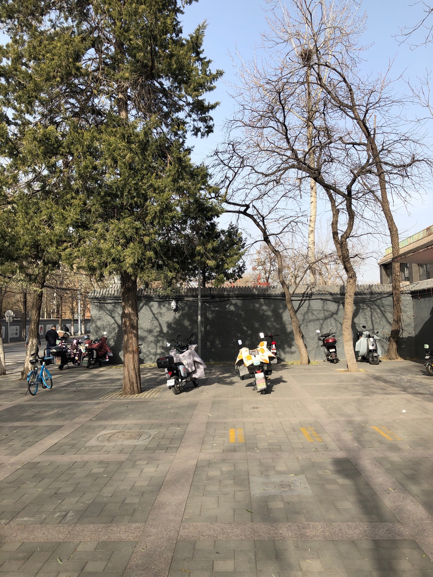 南苑公园旅行图片 2