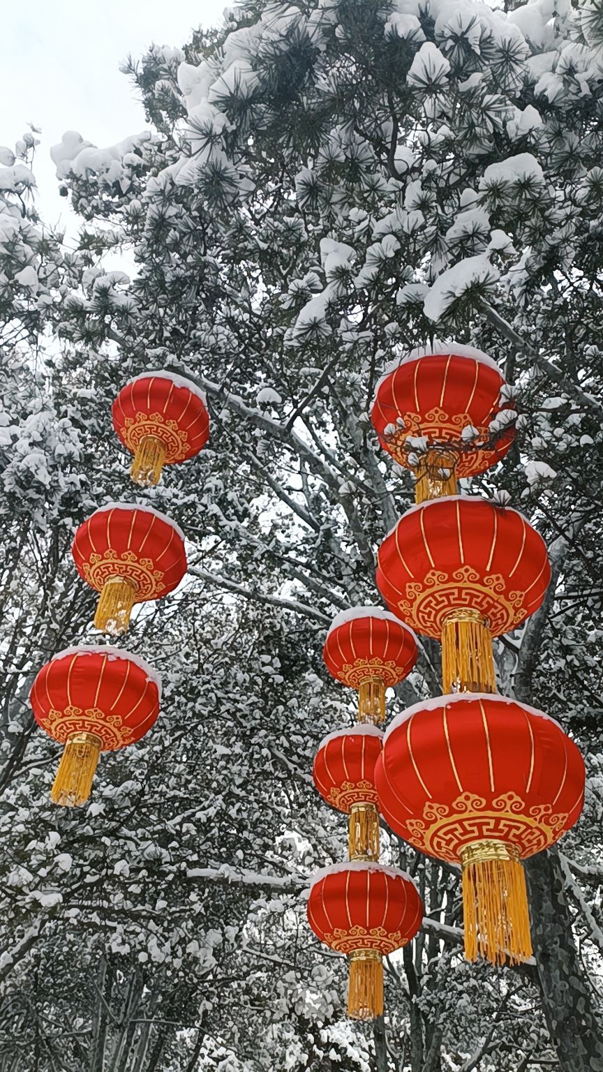 南苑公园旅行图片 1