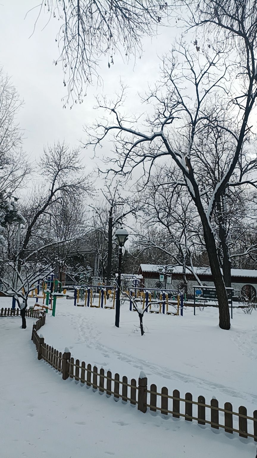 南苑公园旅行图片 2