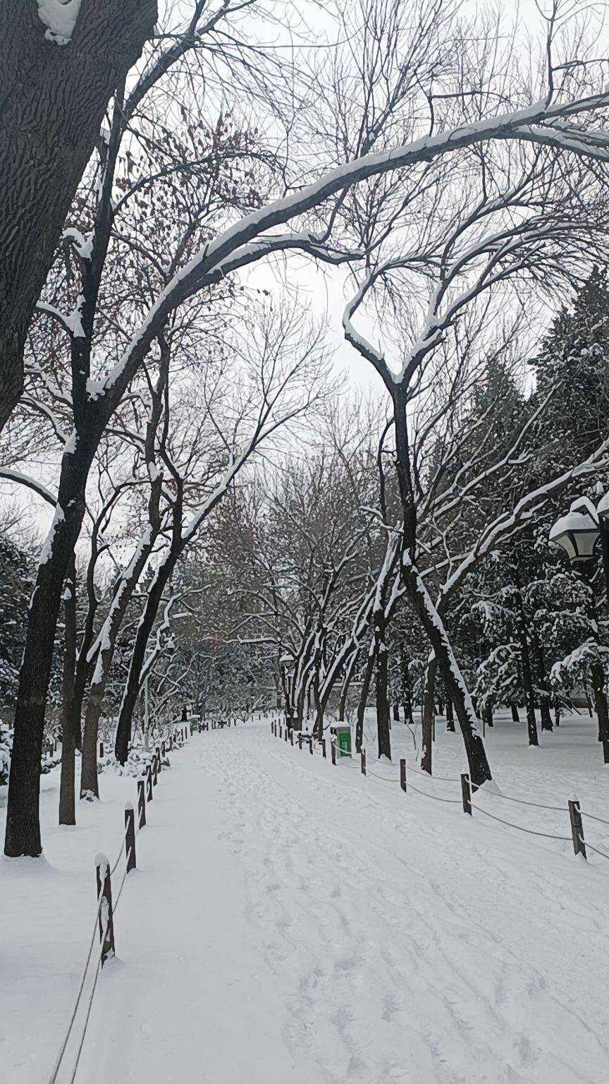 南苑公园旅行图片 3
