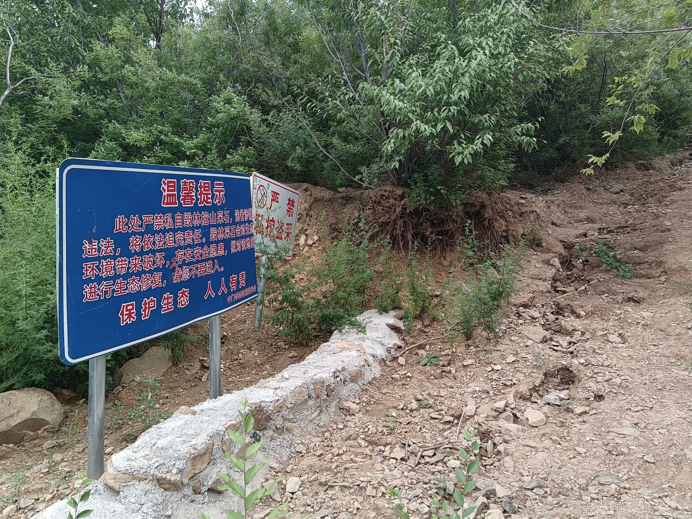 中门寺生态园旅行图片 2