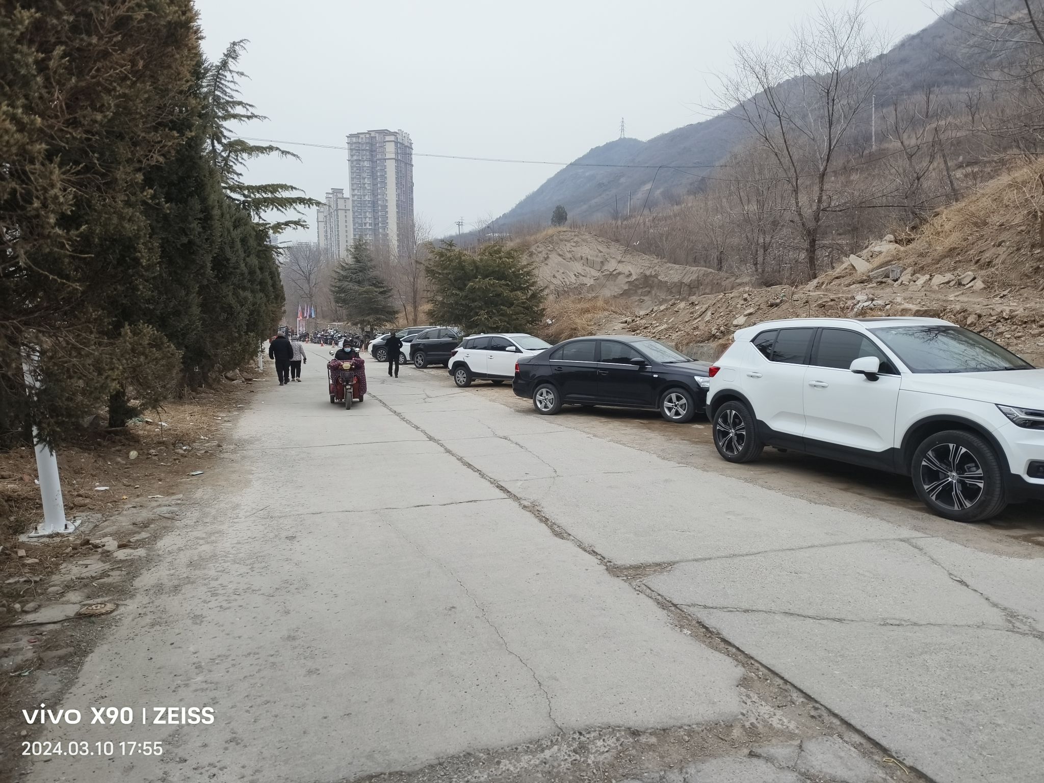 中门寺生态园旅行图片 1
