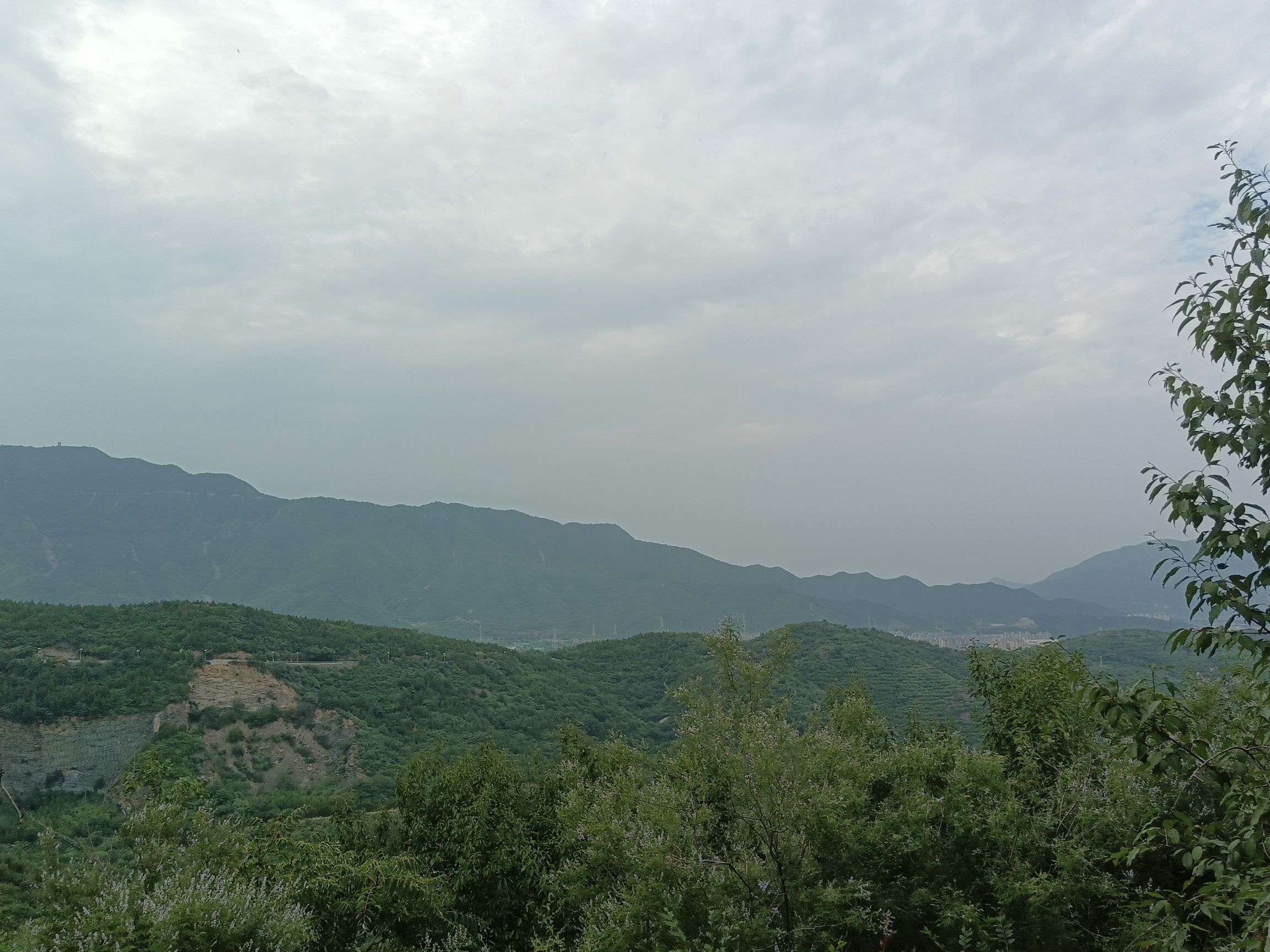 中门寺生态园旅行图片 1
