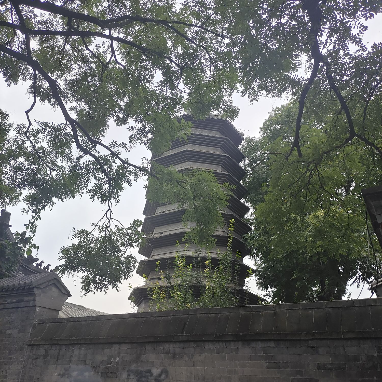 万松老人塔旅行图片 1