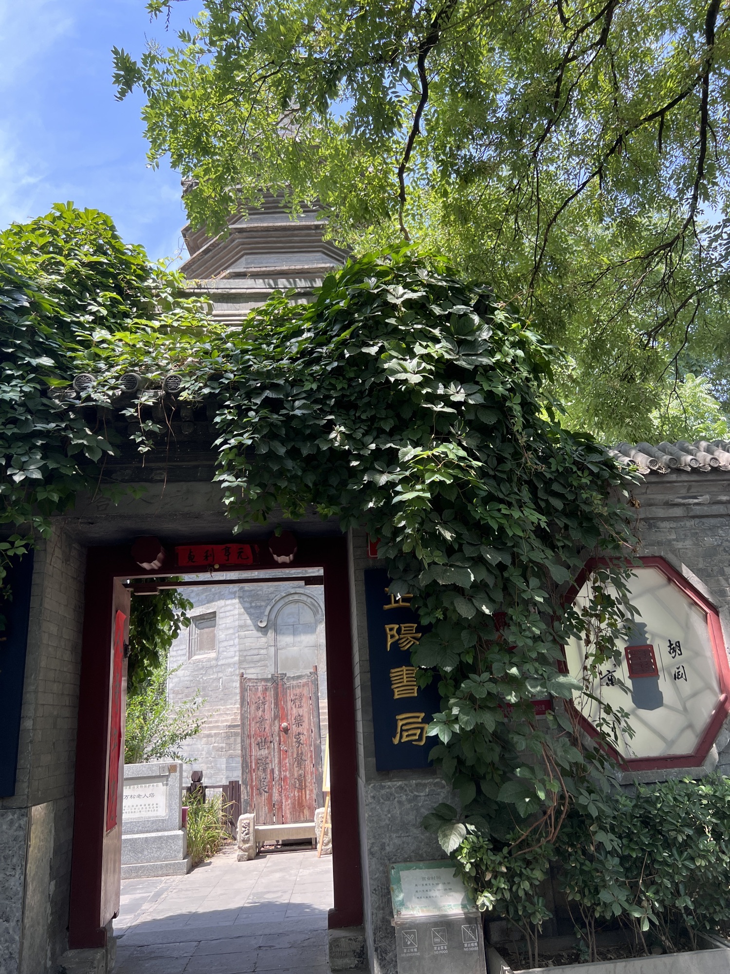万松老人塔旅行图片 1