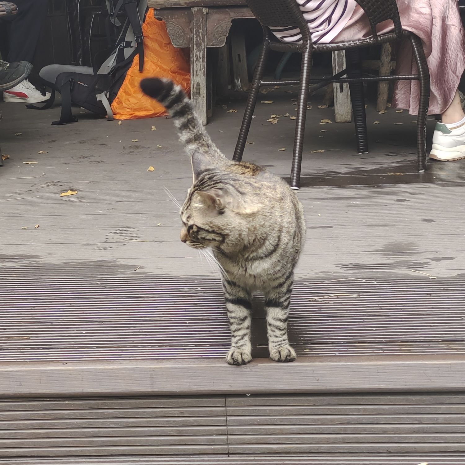 万松老人塔旅行图片 3