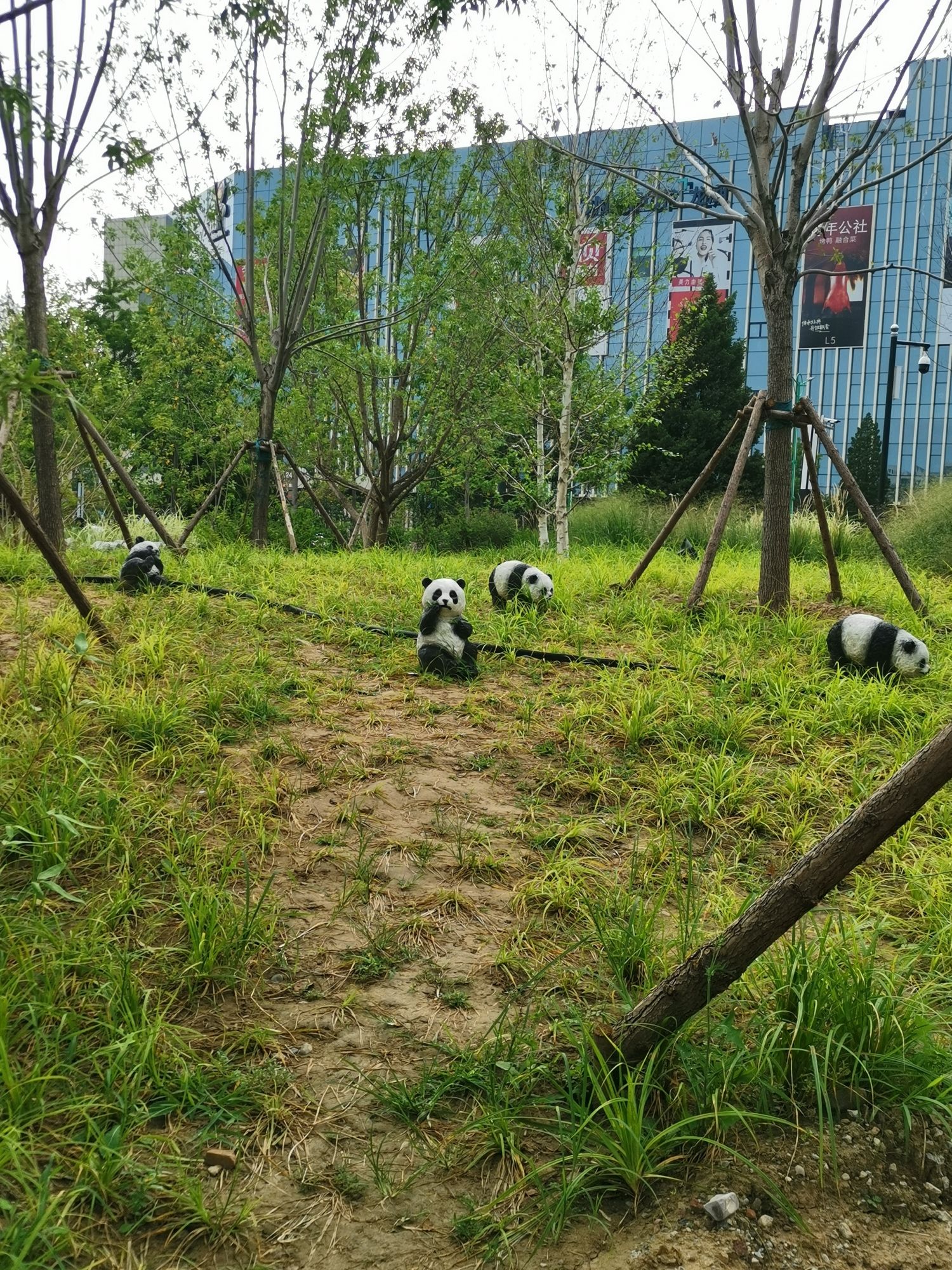 房山人民公园旅行图片 2