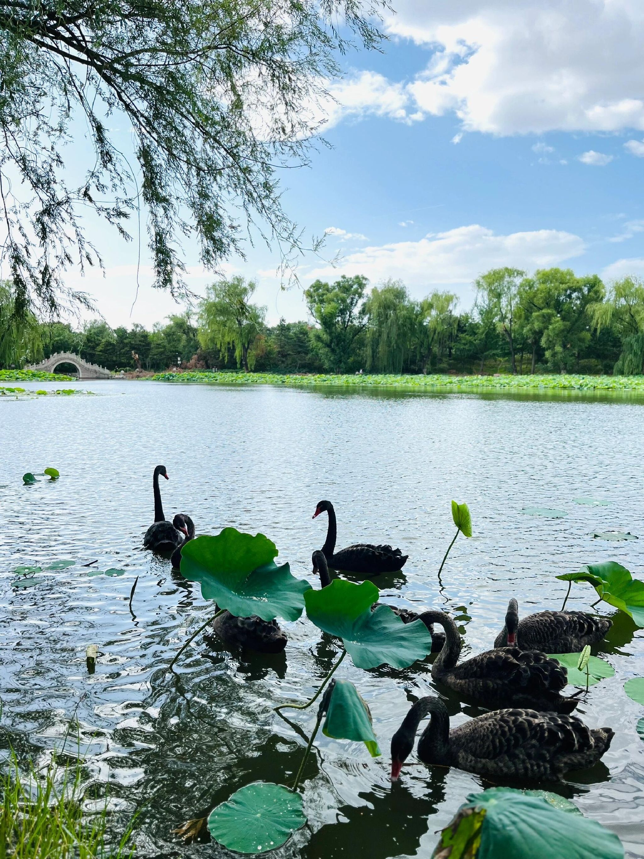 福海公园旅行图片 1