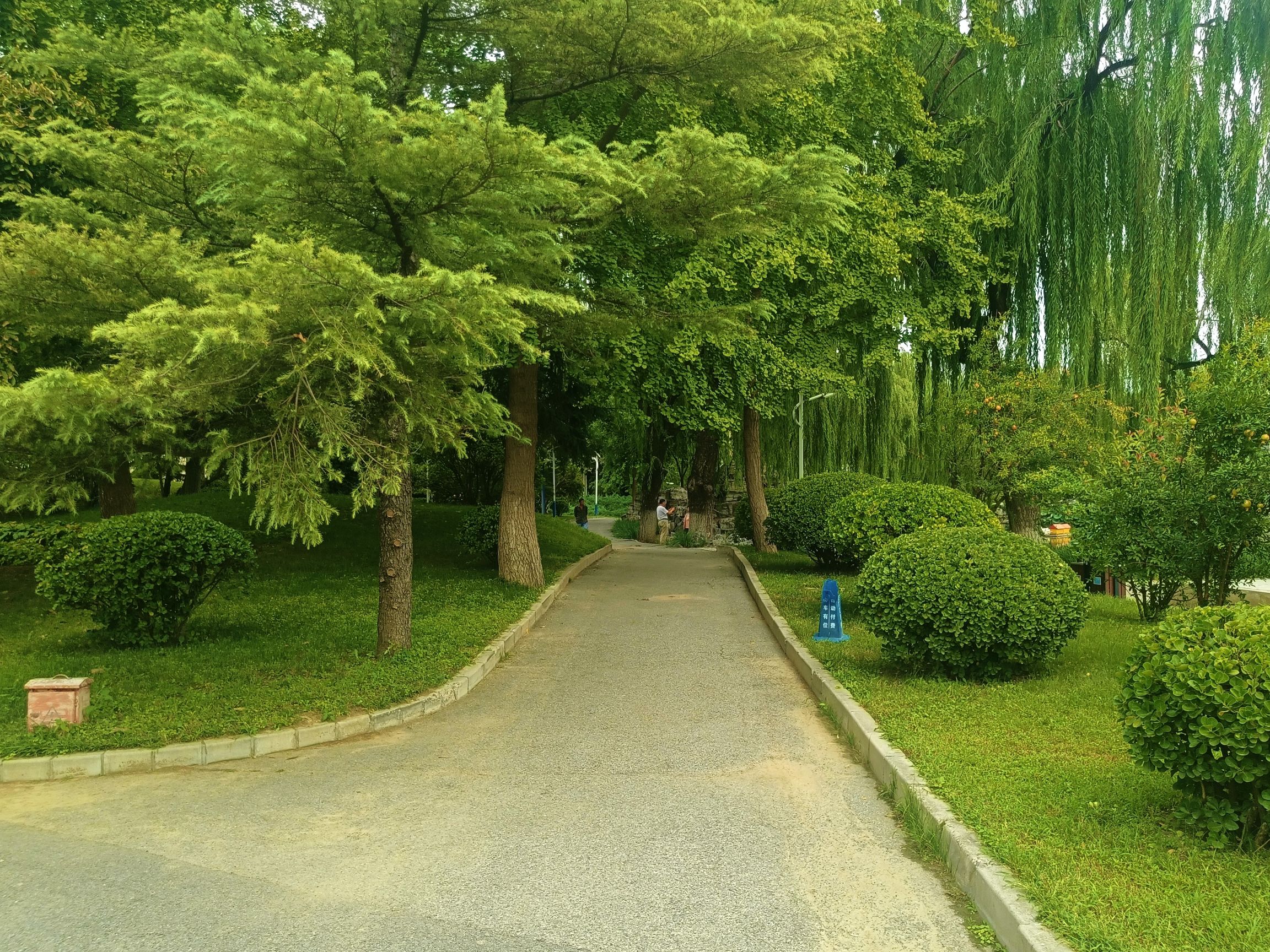福海公园旅行图片 3