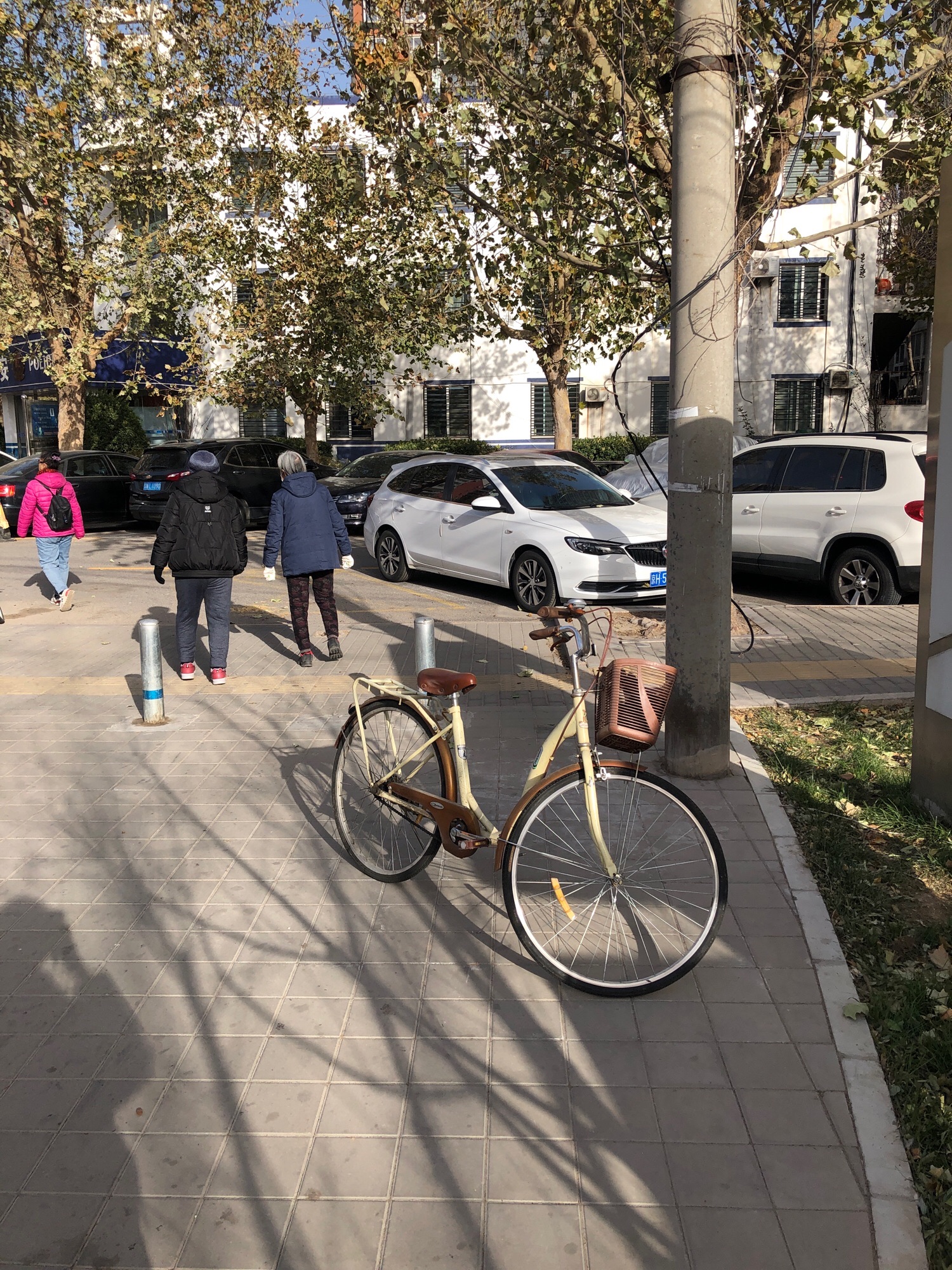 嘉乐公园旅行图片 2
