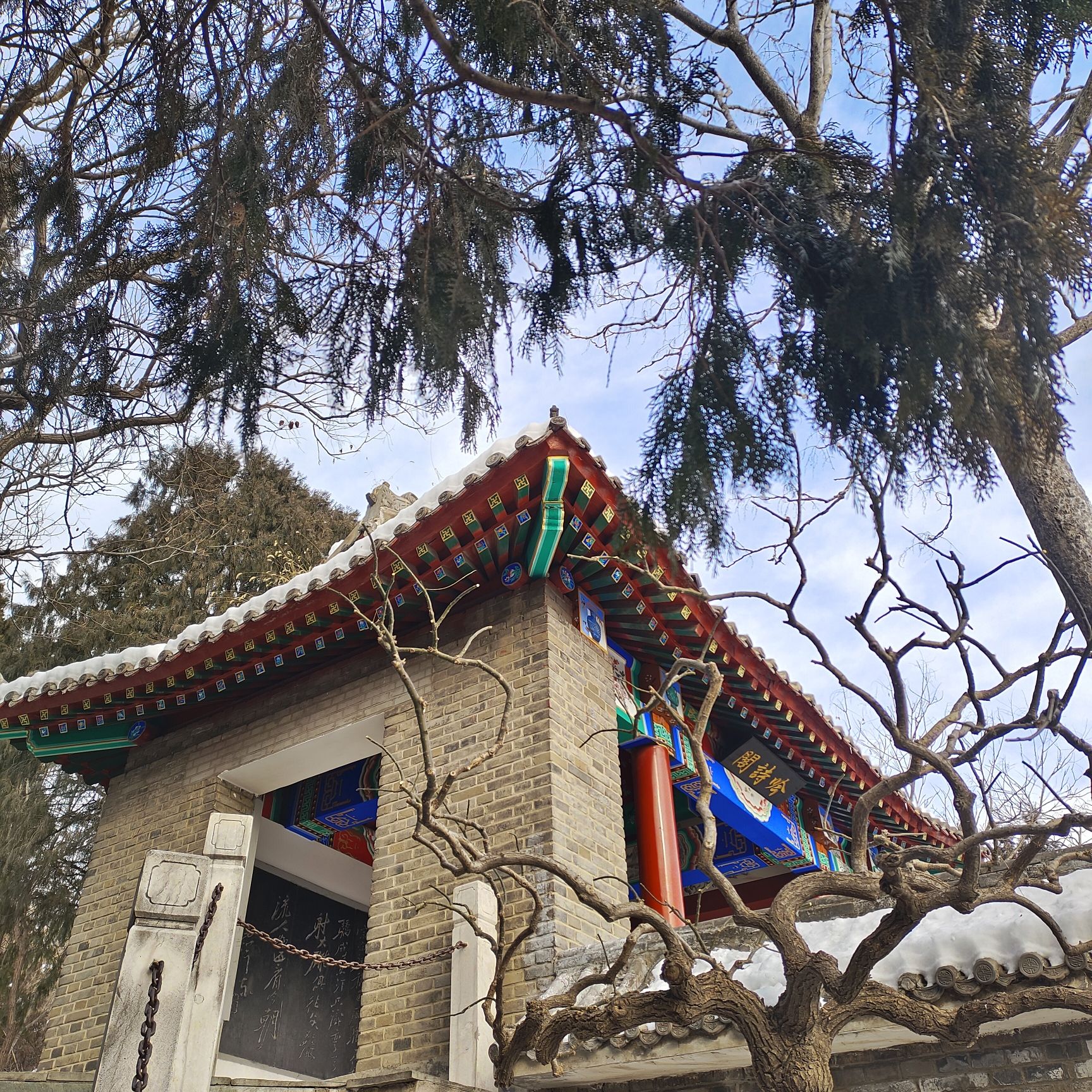 百望山森林公园旅行图片 2