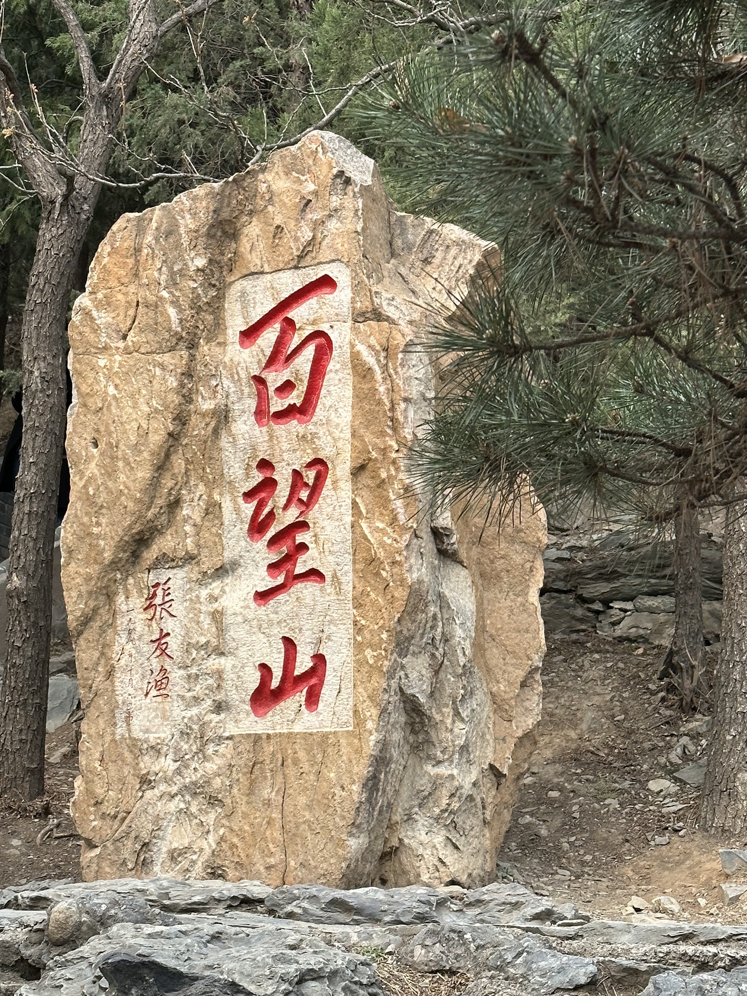 百望山森林公园旅行图片 3