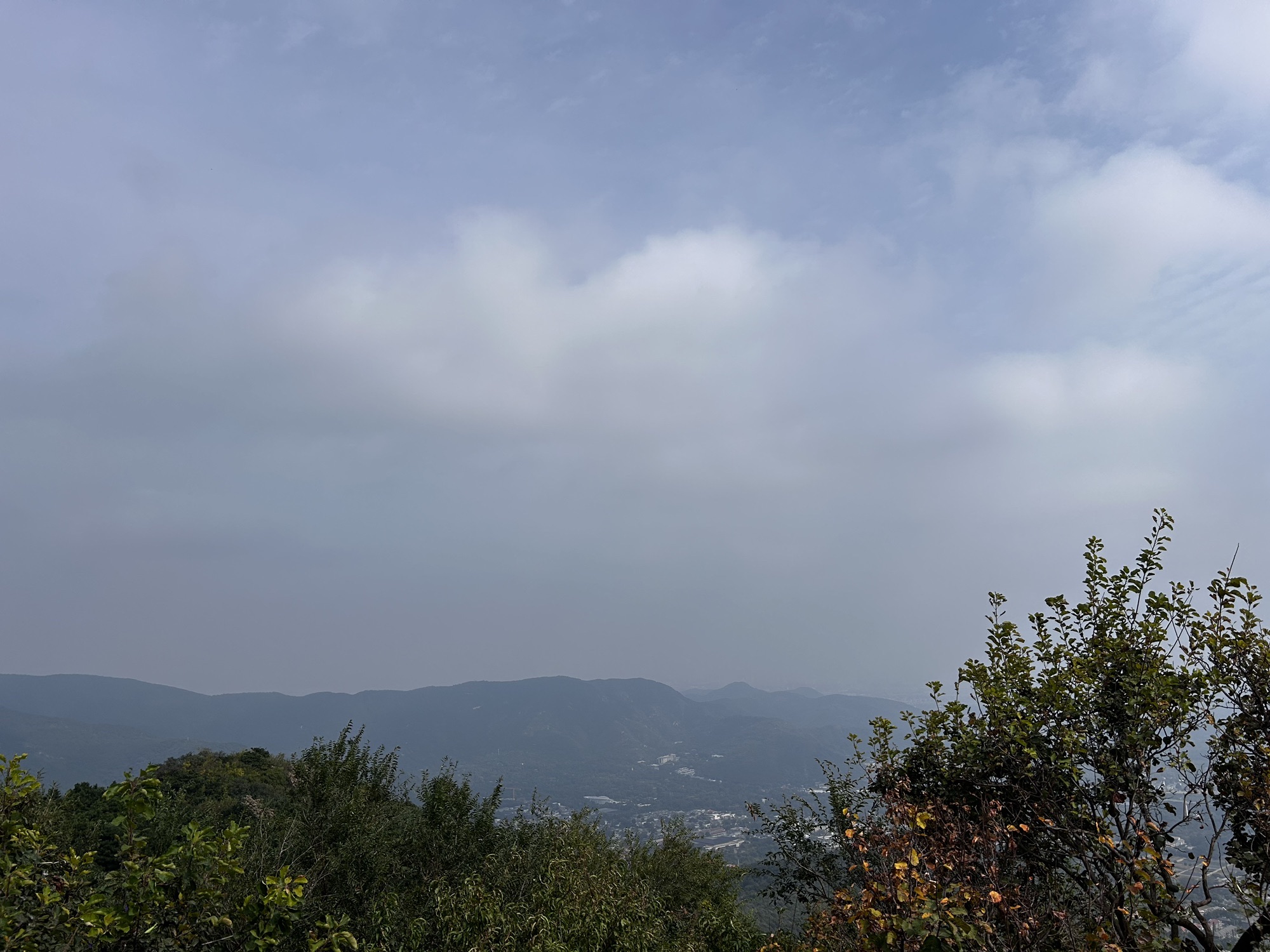 百望山森林公园旅行图片 3