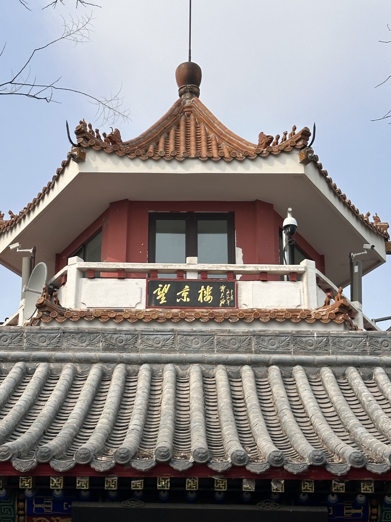 百望山森林公园旅行图片 2