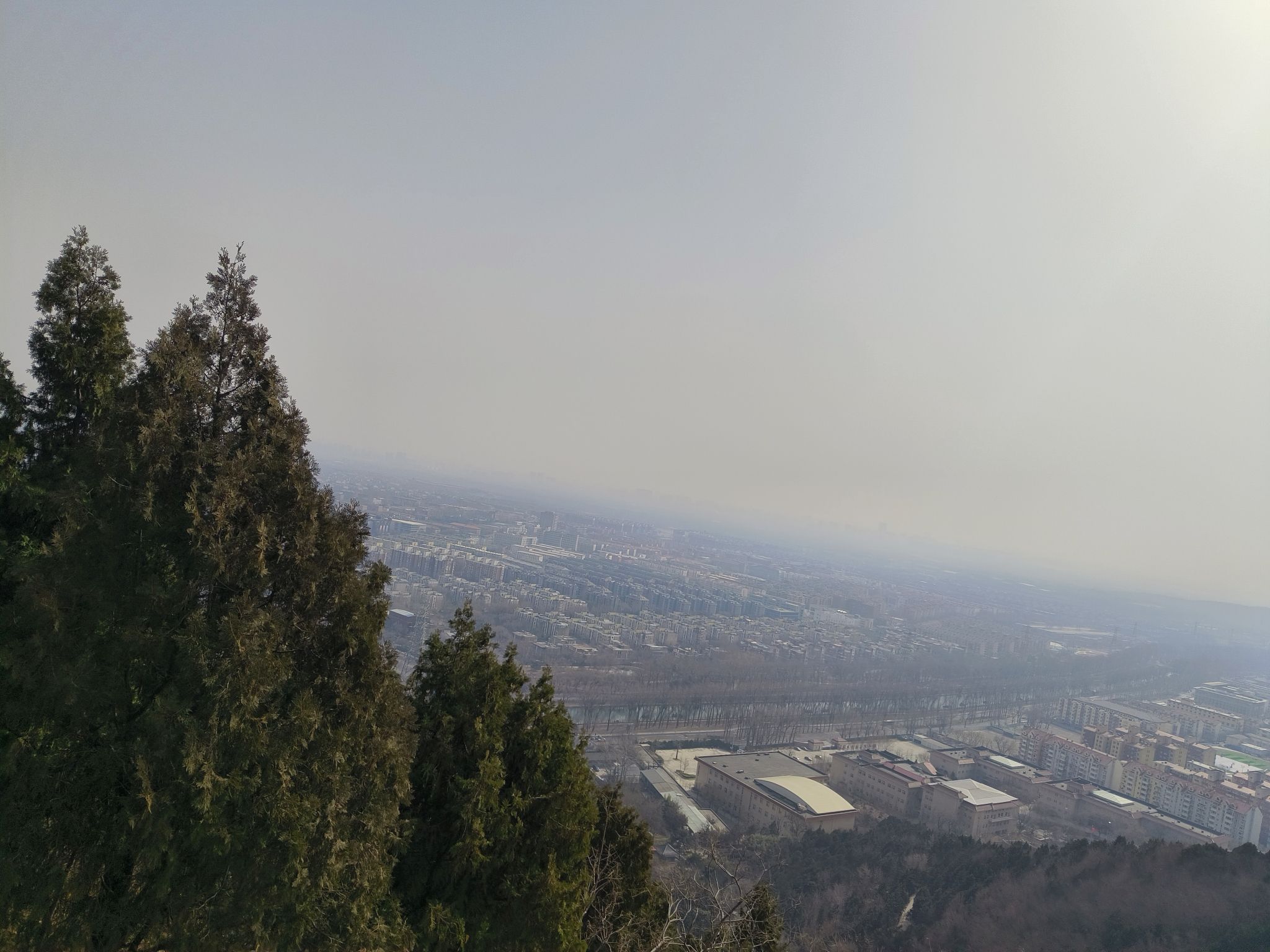 百望山森林公园旅行图片 3