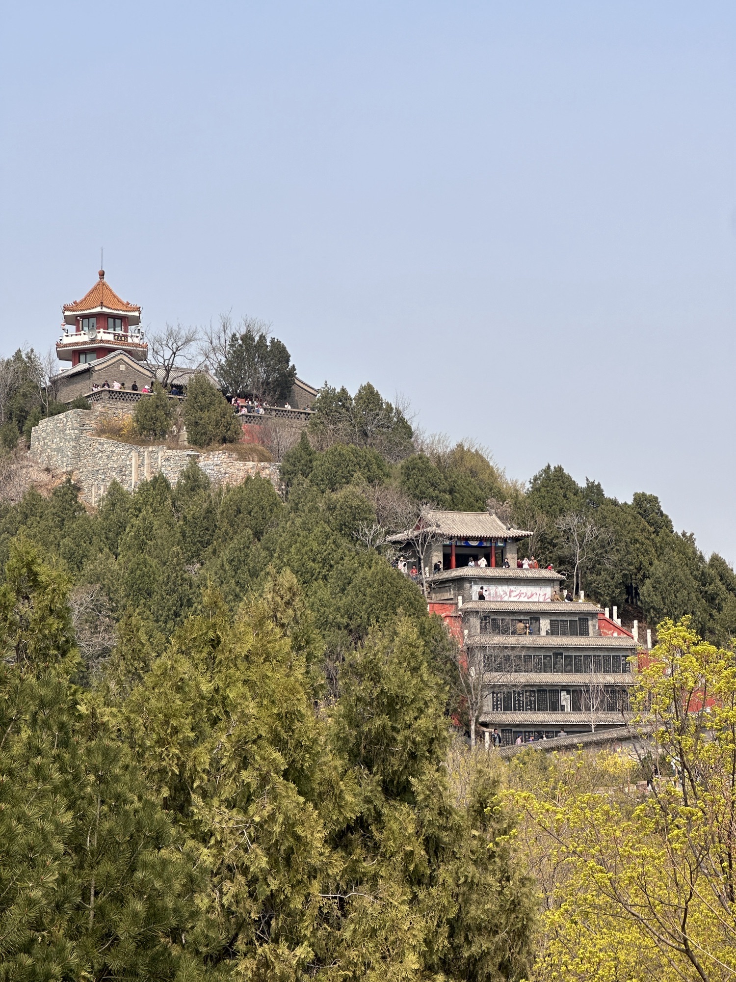 百望山森林公园旅行图片 3