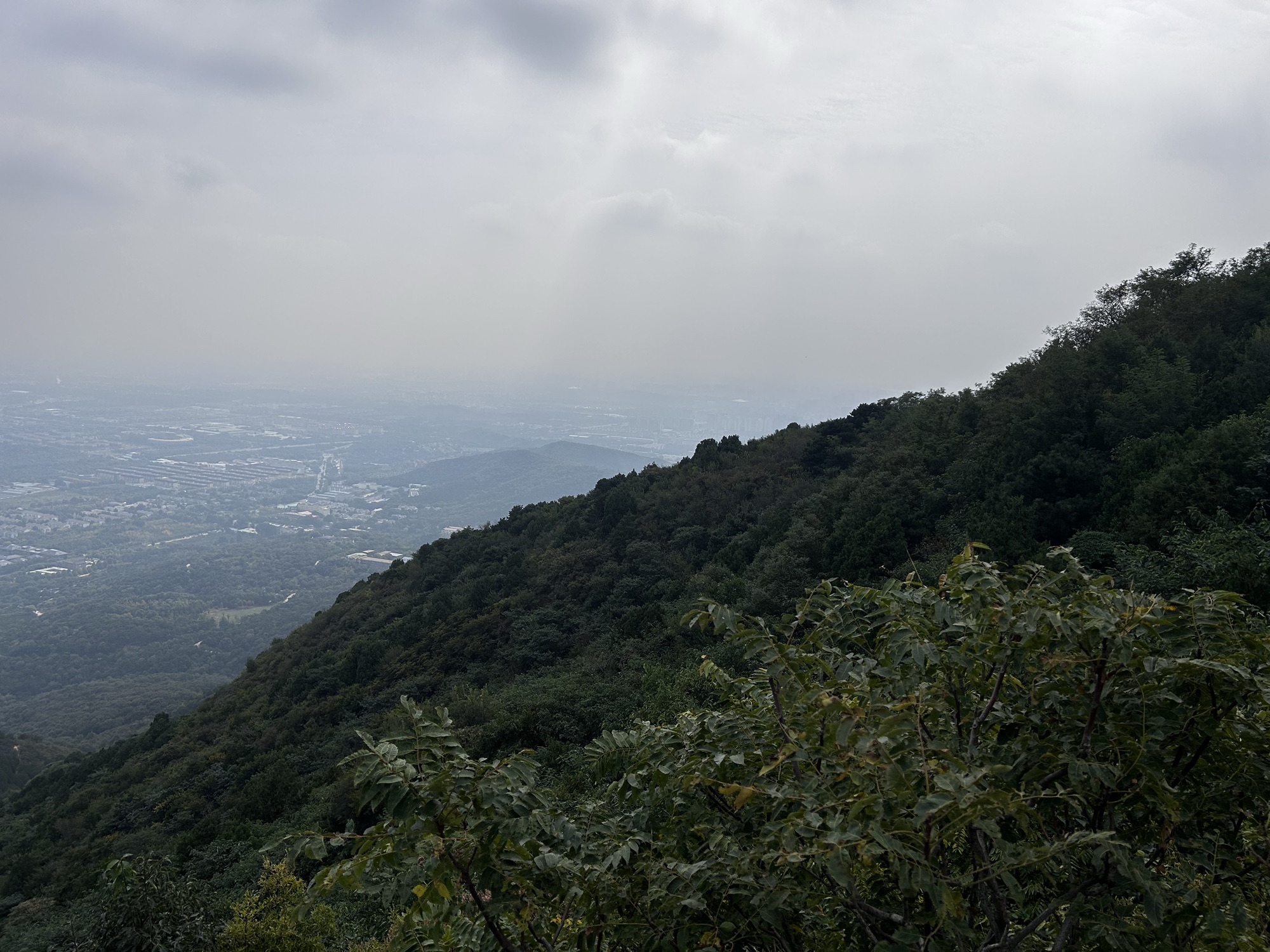 百望山森林公园旅行图片 1