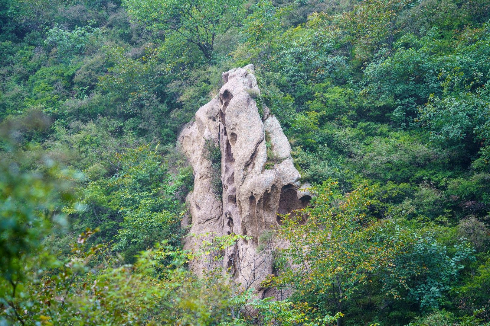 古崖居遗址旅行图片 1