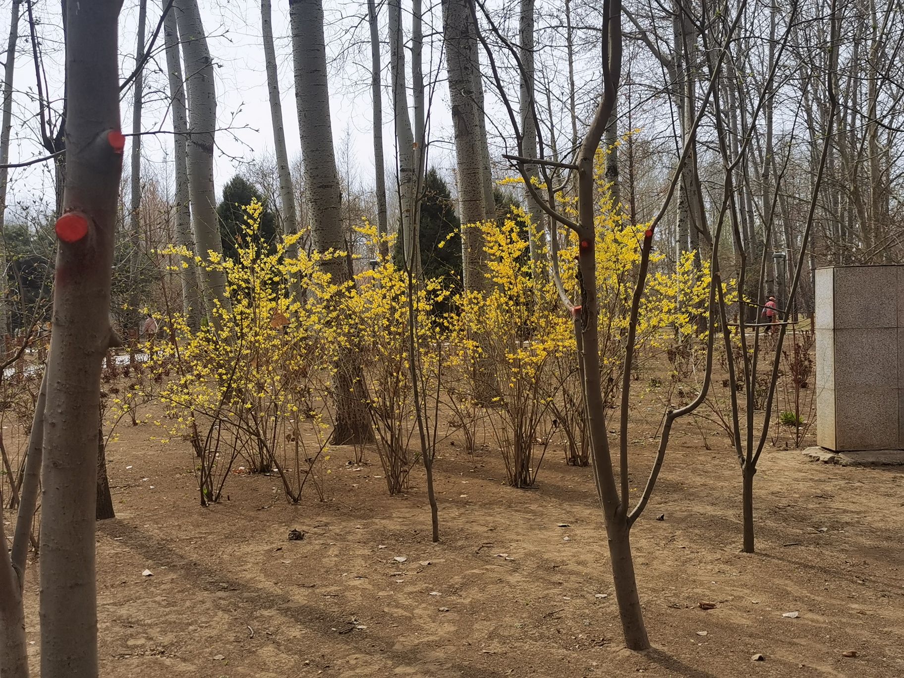 仁和公园旅行图片 3
