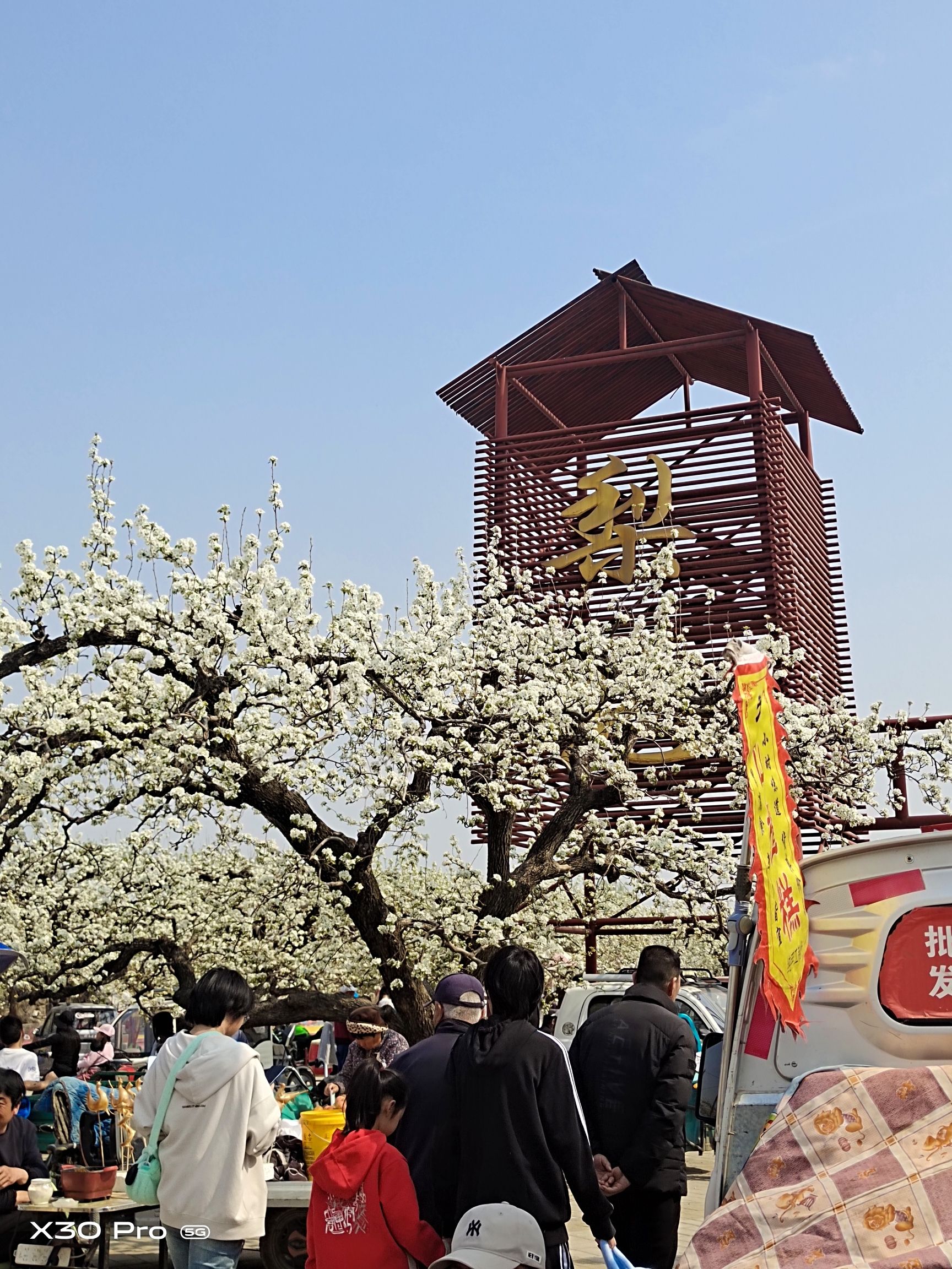 京白梨大家族主题公园旅行图片 2