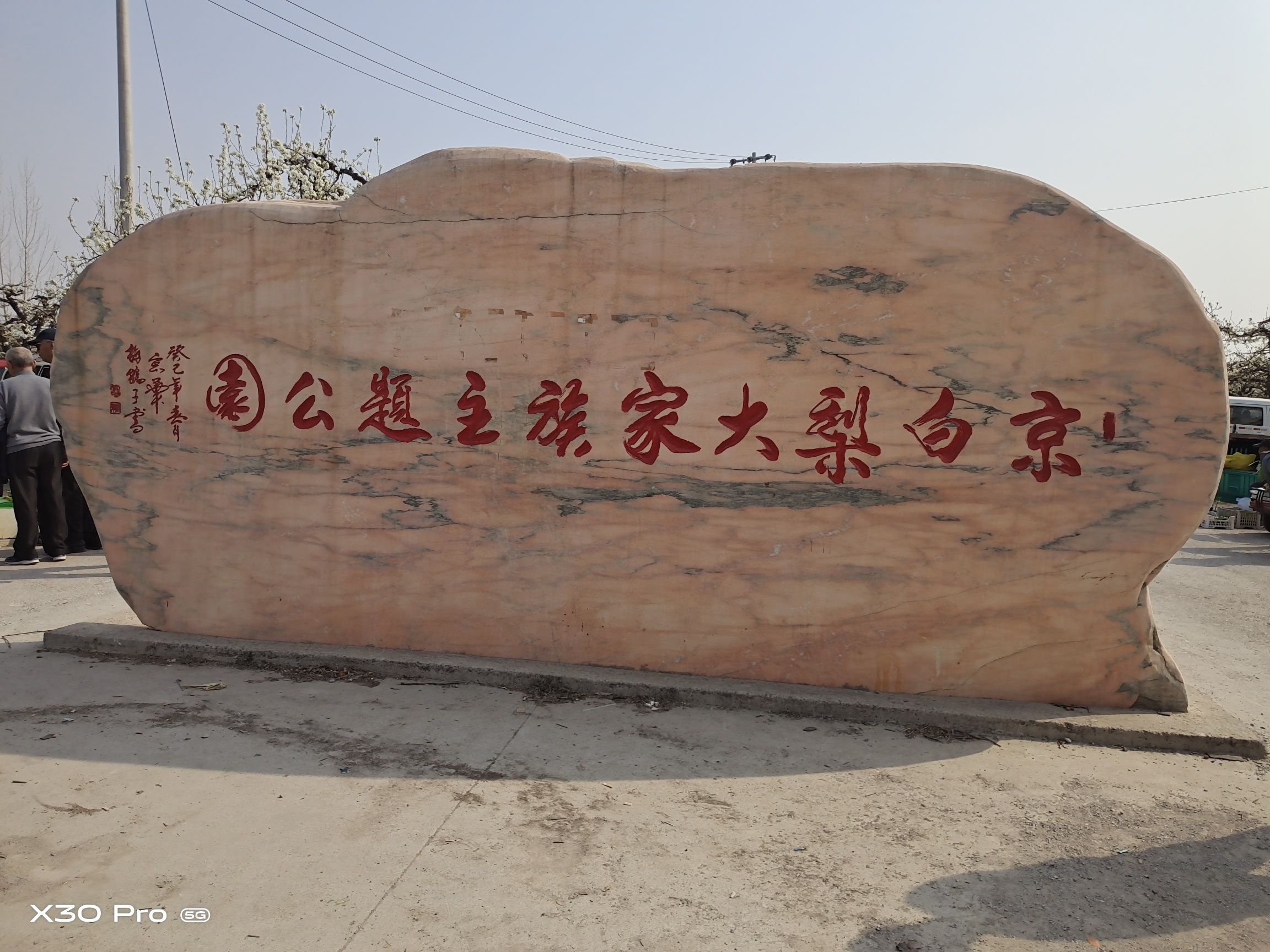 京白梨大家族主题公园旅行图片 1