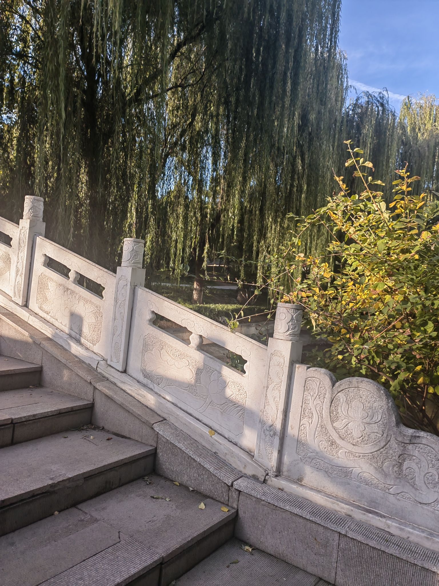 上地公园旅行图片 3
