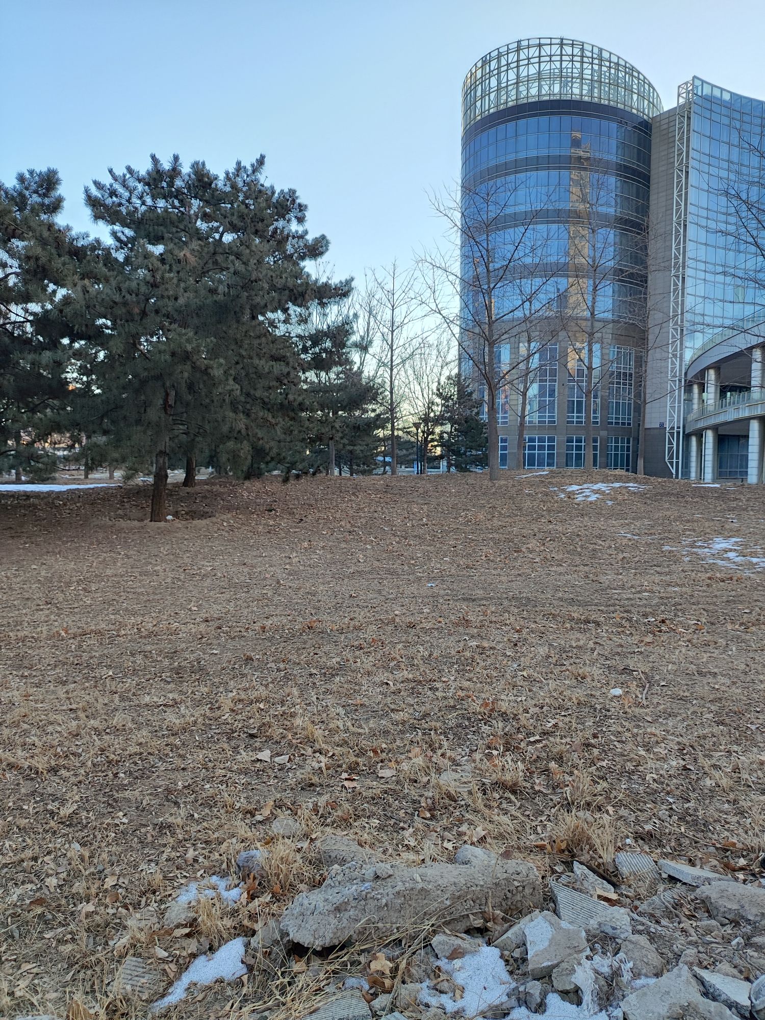 科丰公园旅行图片 2