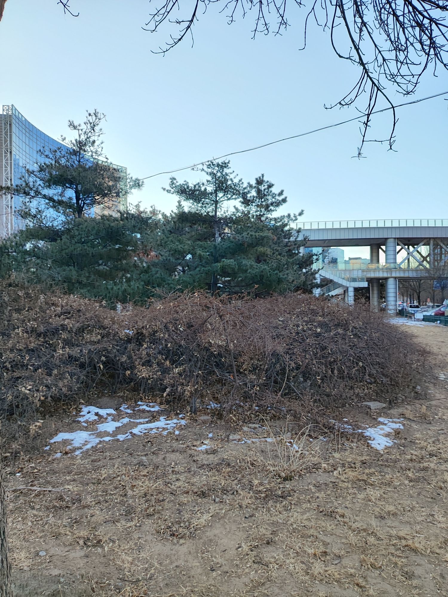 科丰公园旅行图片 3