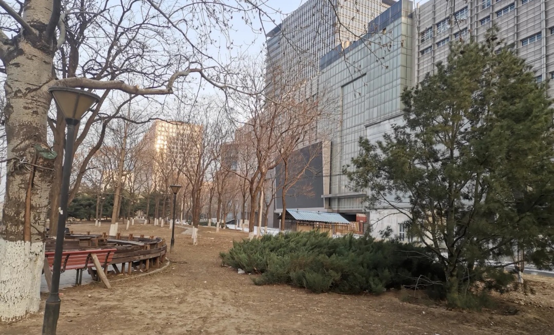 科丰公园旅行图片 1