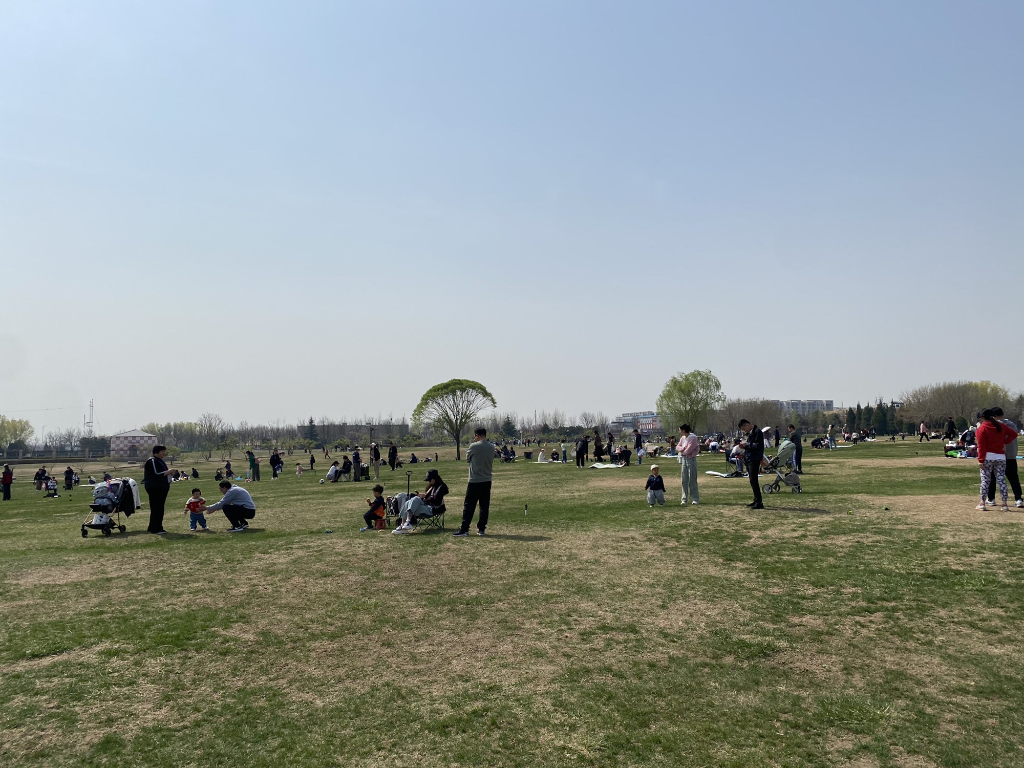 西湖园旅行图片 2