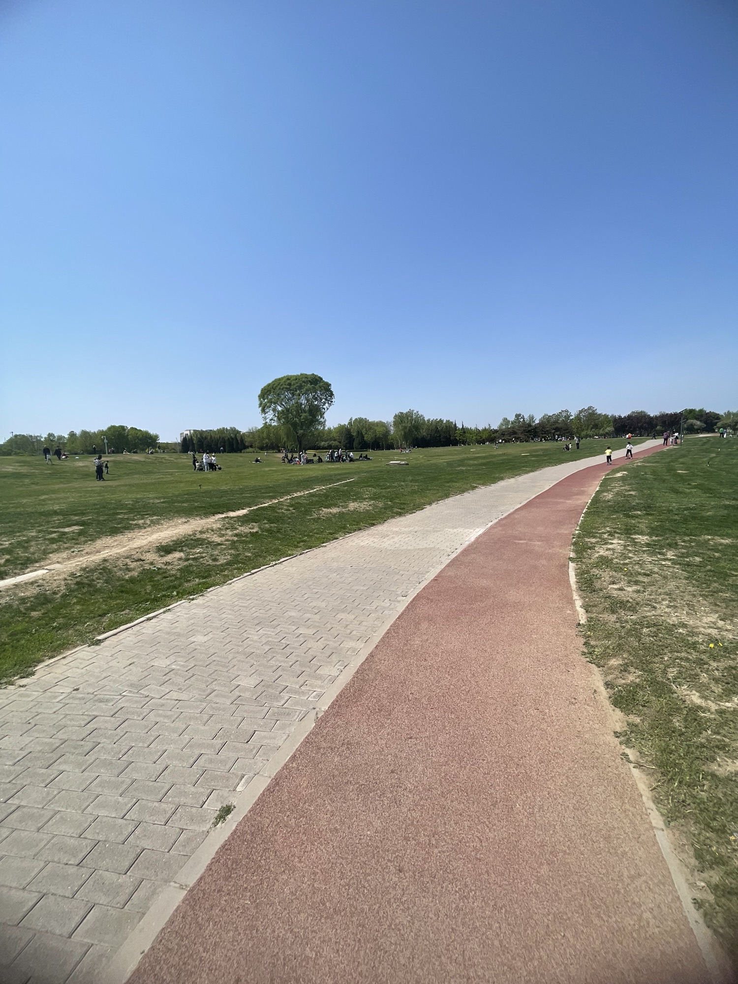 西湖园旅行图片 3