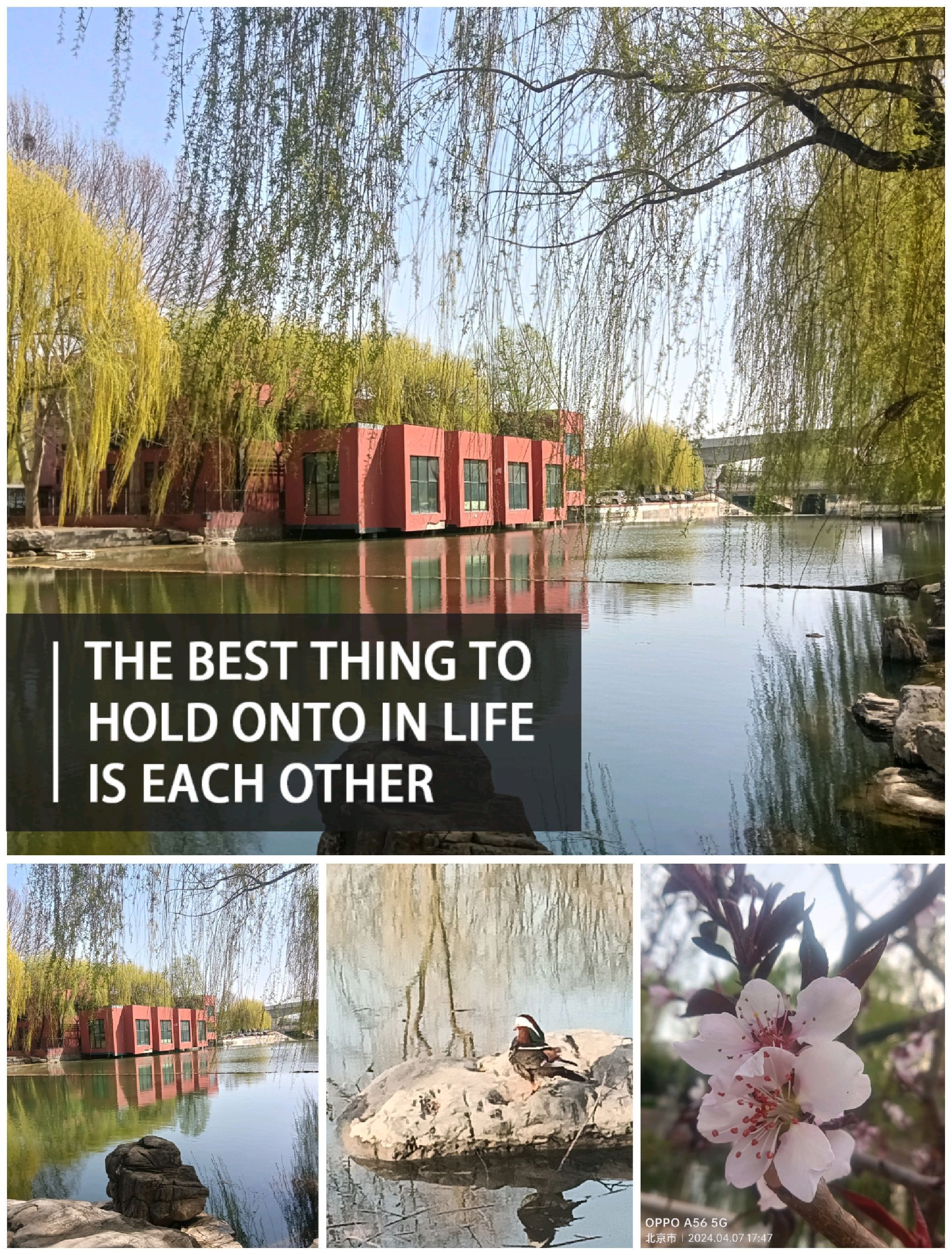 赛纳园旅行图片 1