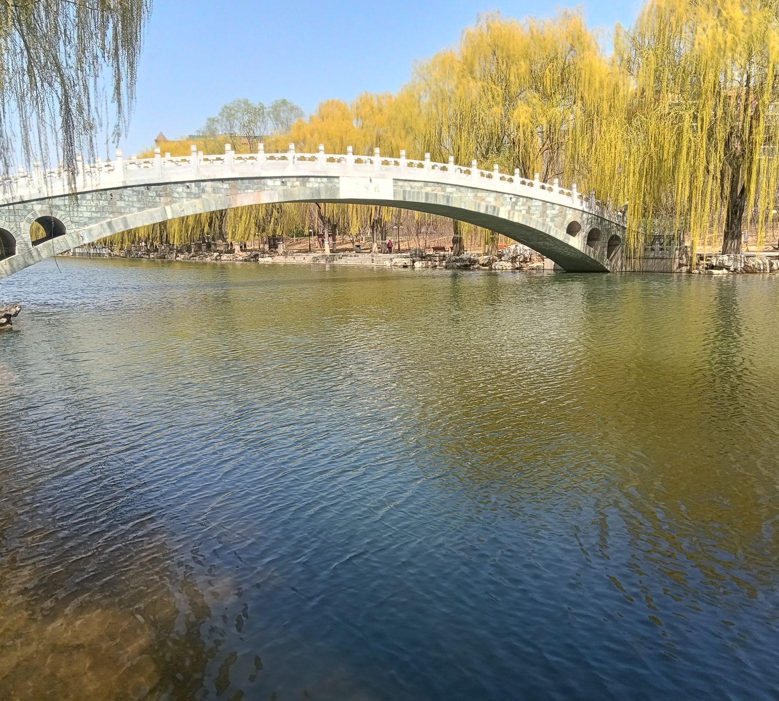 赛纳园旅行图片 3