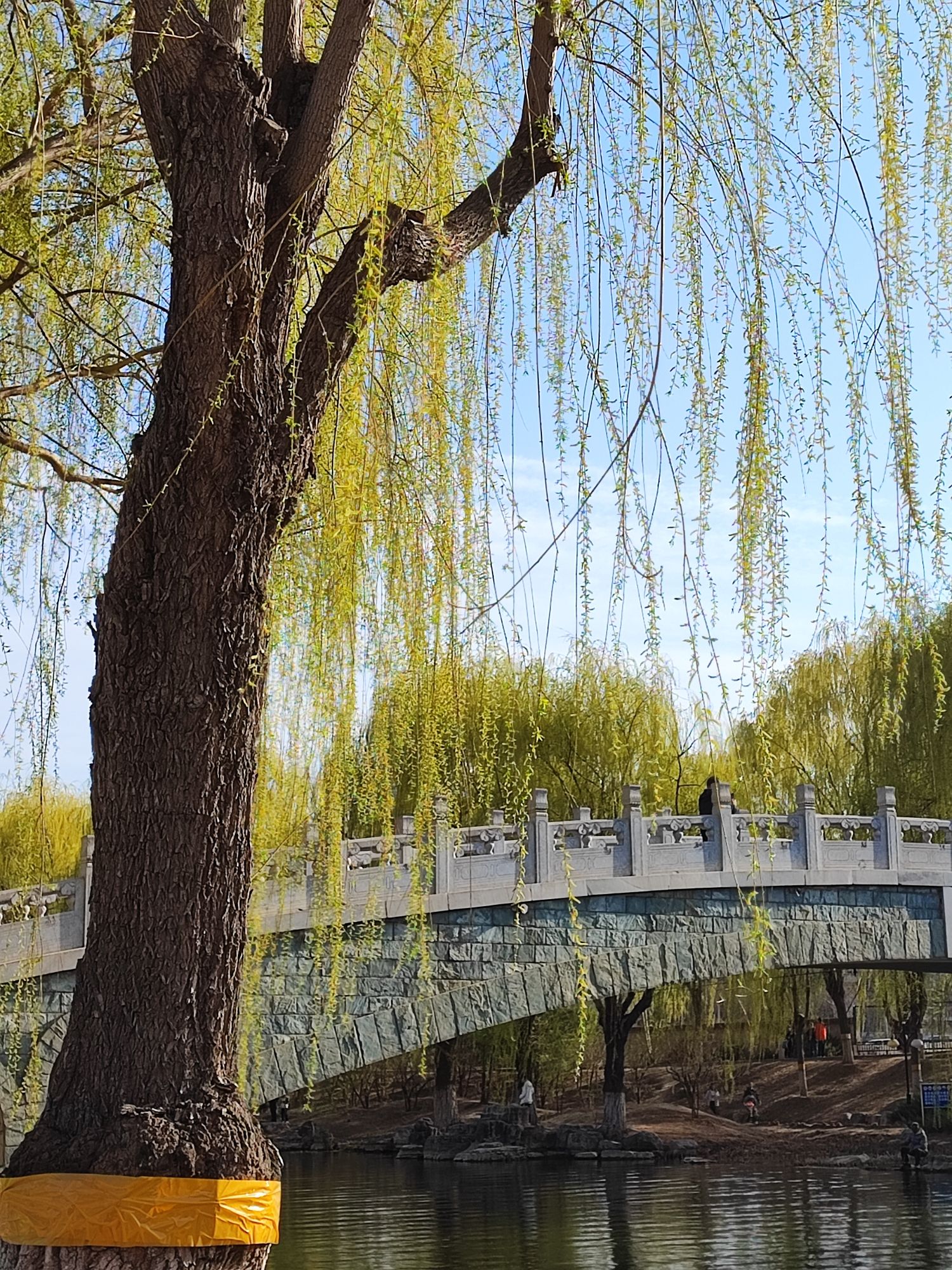赛纳园旅行图片 3