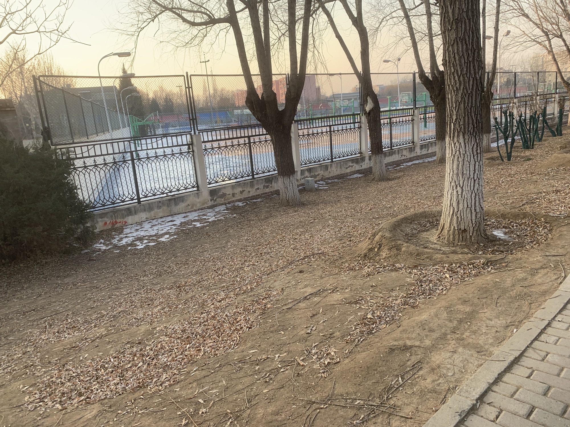 赛纳园旅行图片 3