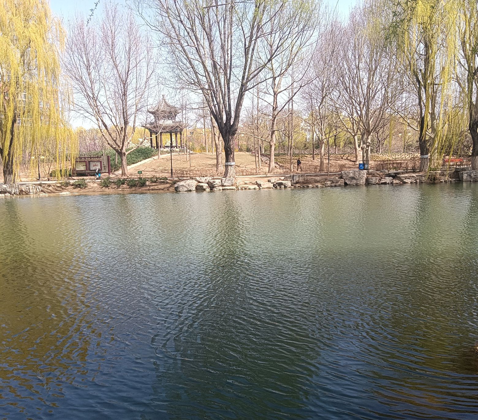 赛纳园旅行图片 2