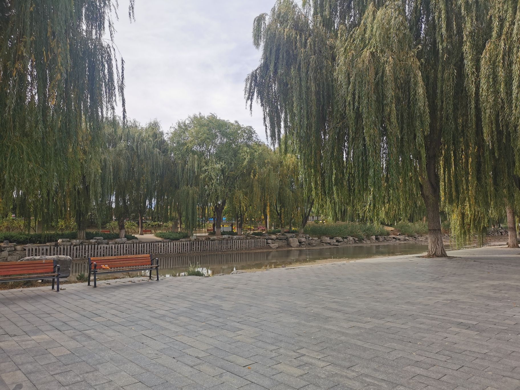 赛纳园旅行图片 2