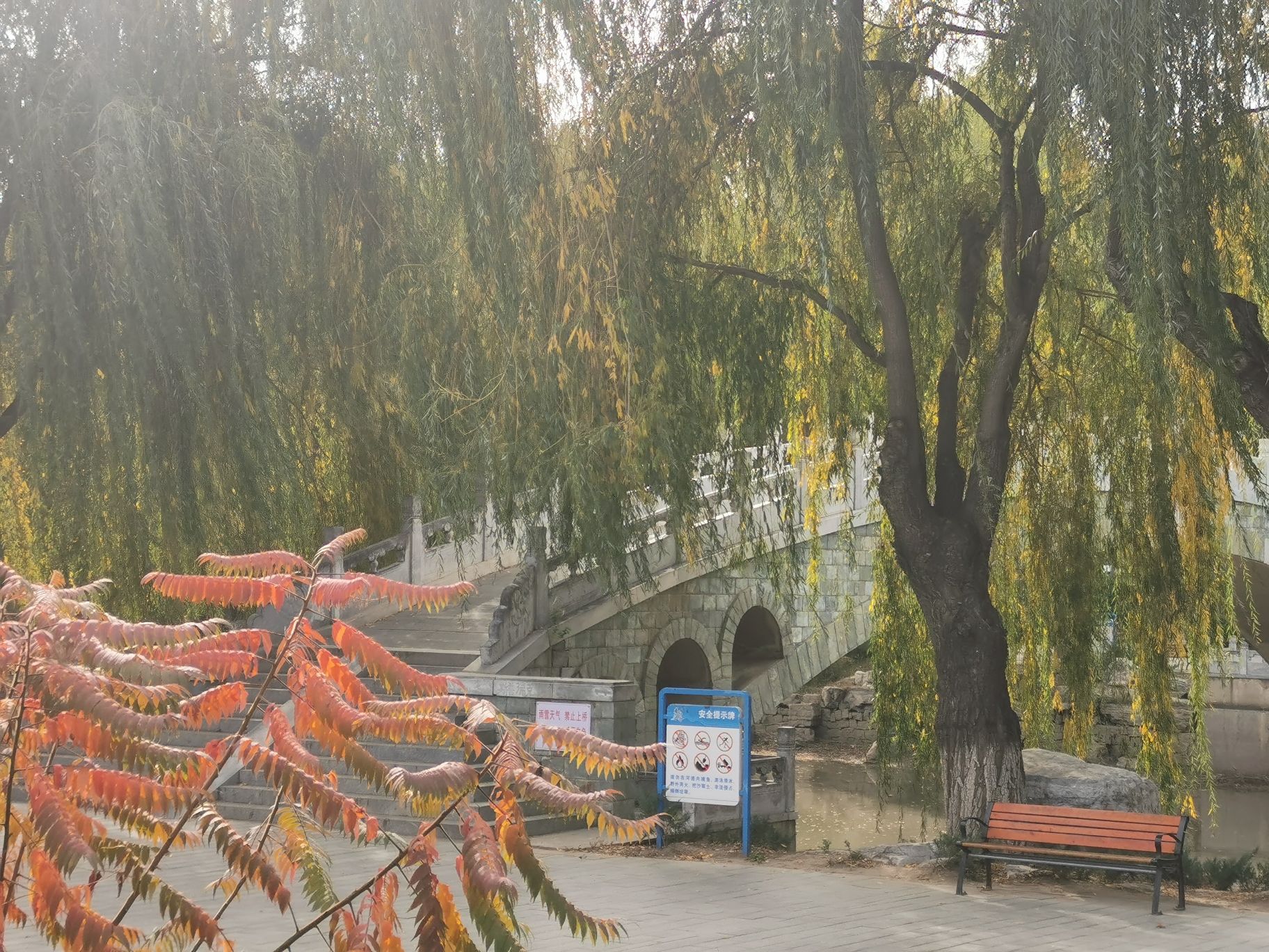 赛纳园旅行图片 1