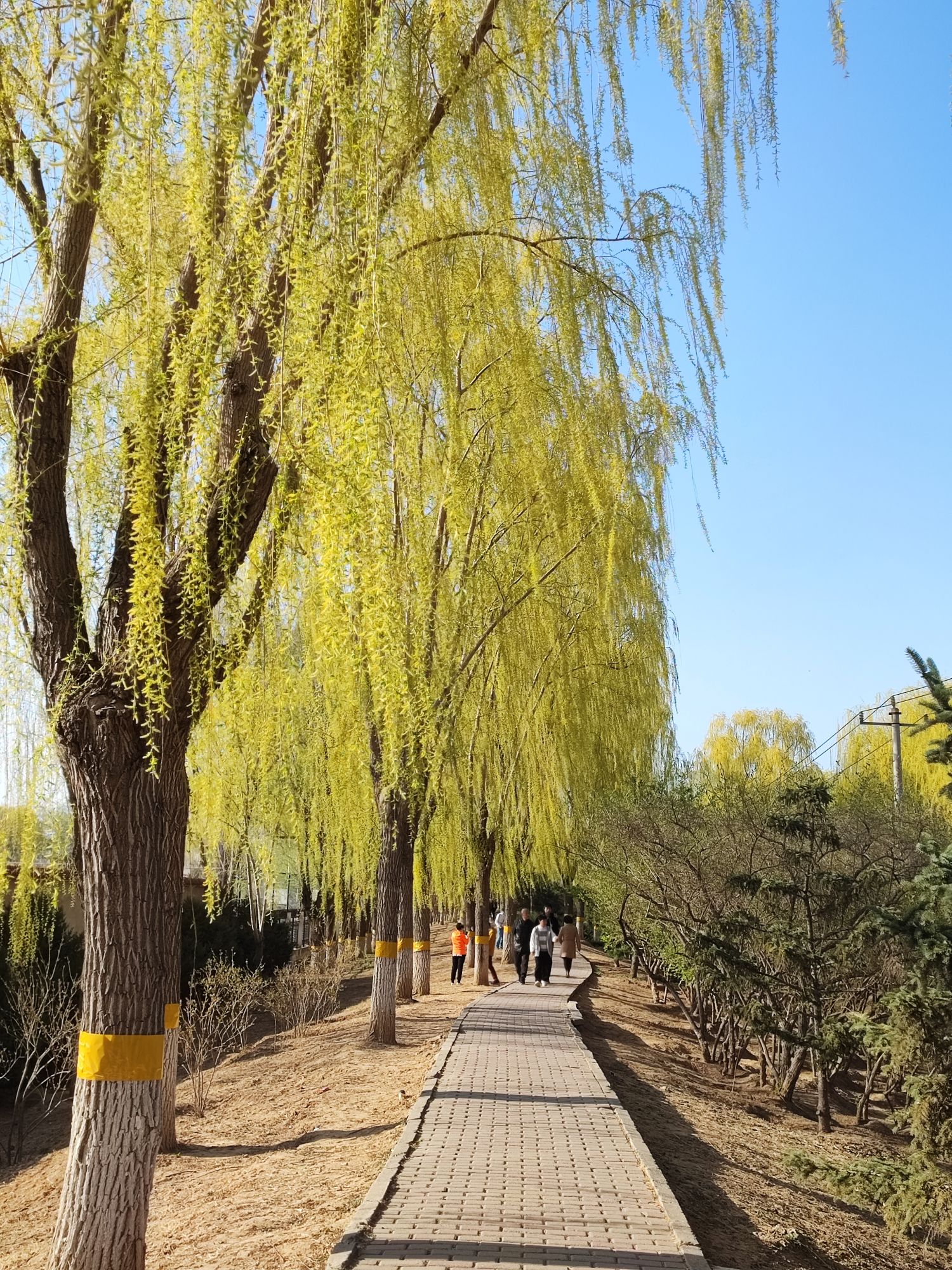 赛纳园旅行图片 1