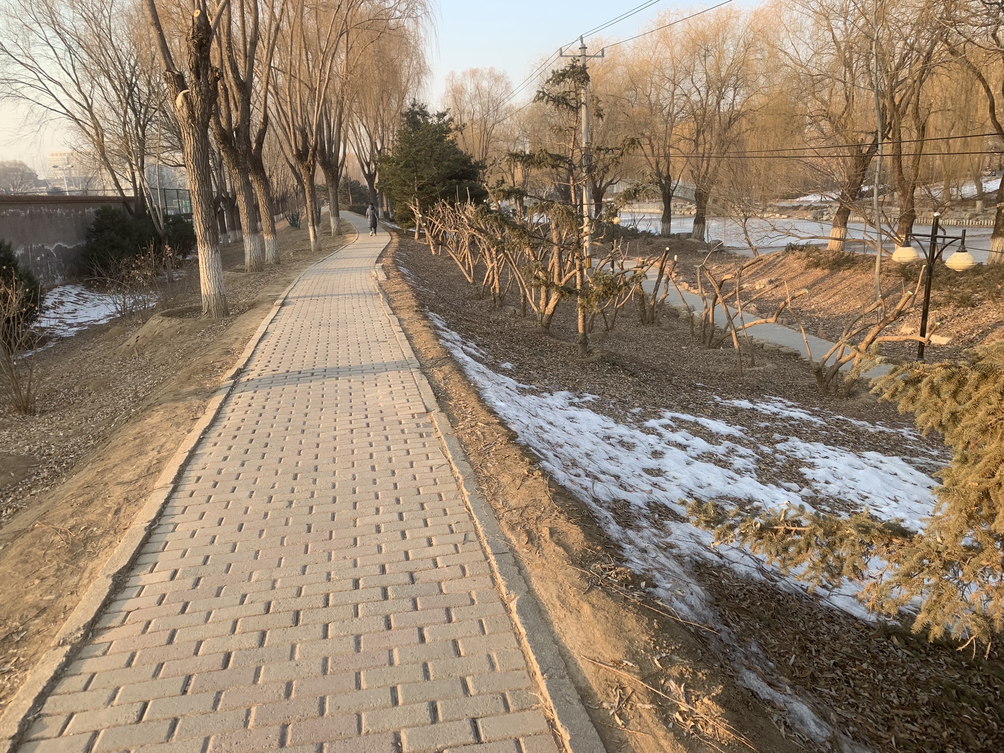 赛纳园旅行图片 2