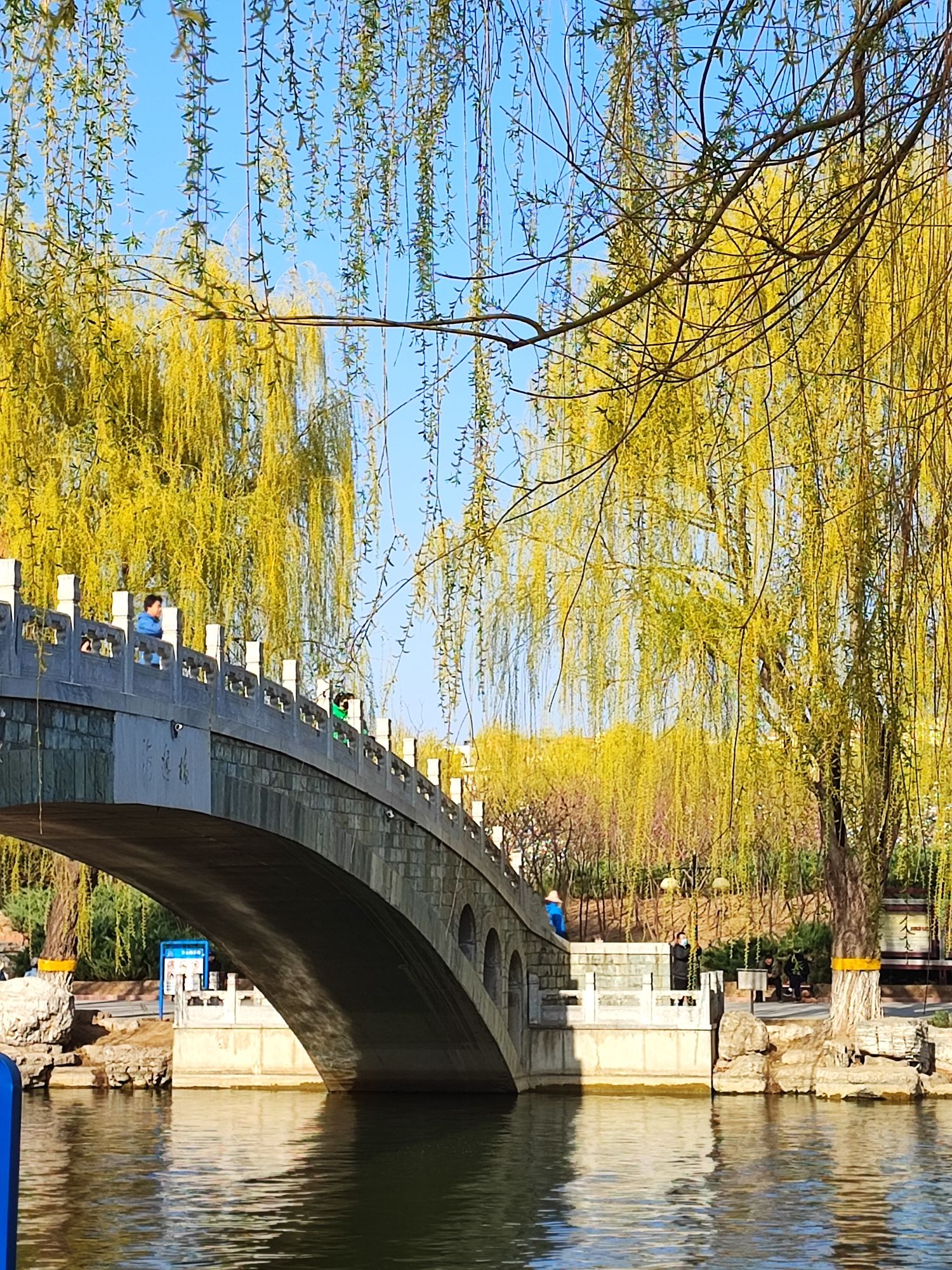 赛纳园旅行图片 2