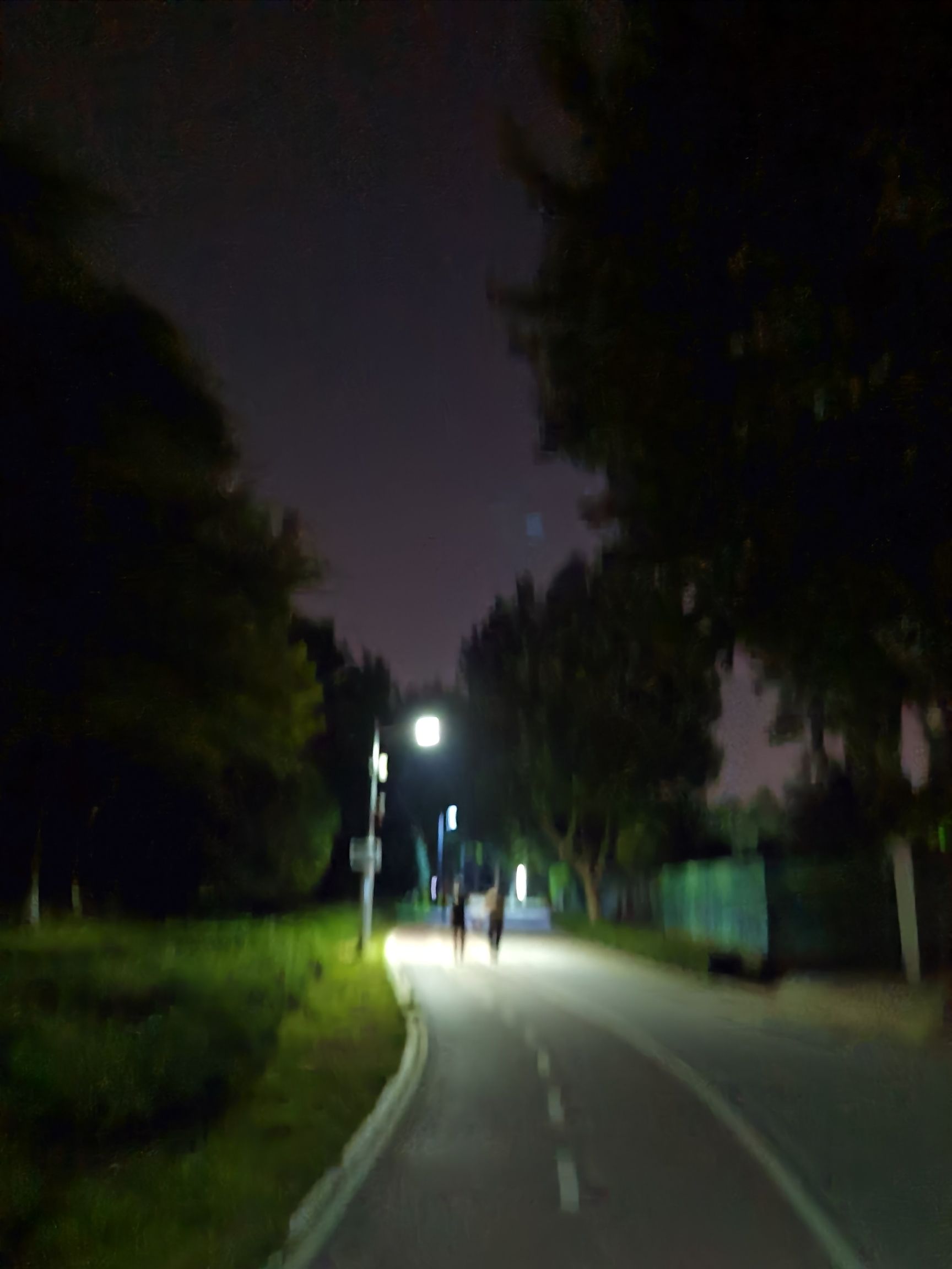 国际企业文化园西园旅行图片 1