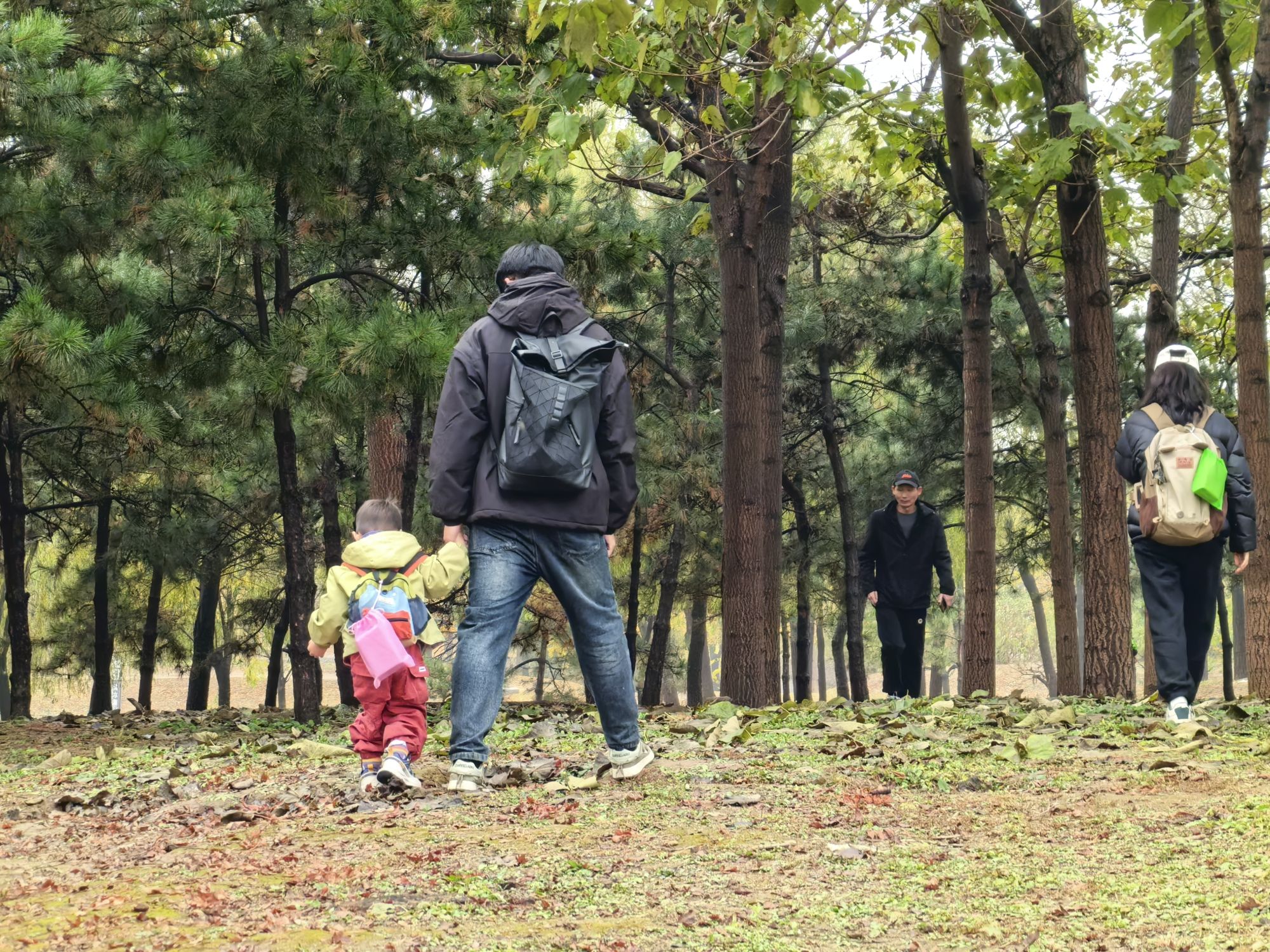 国际企业文化园西园旅行图片 3