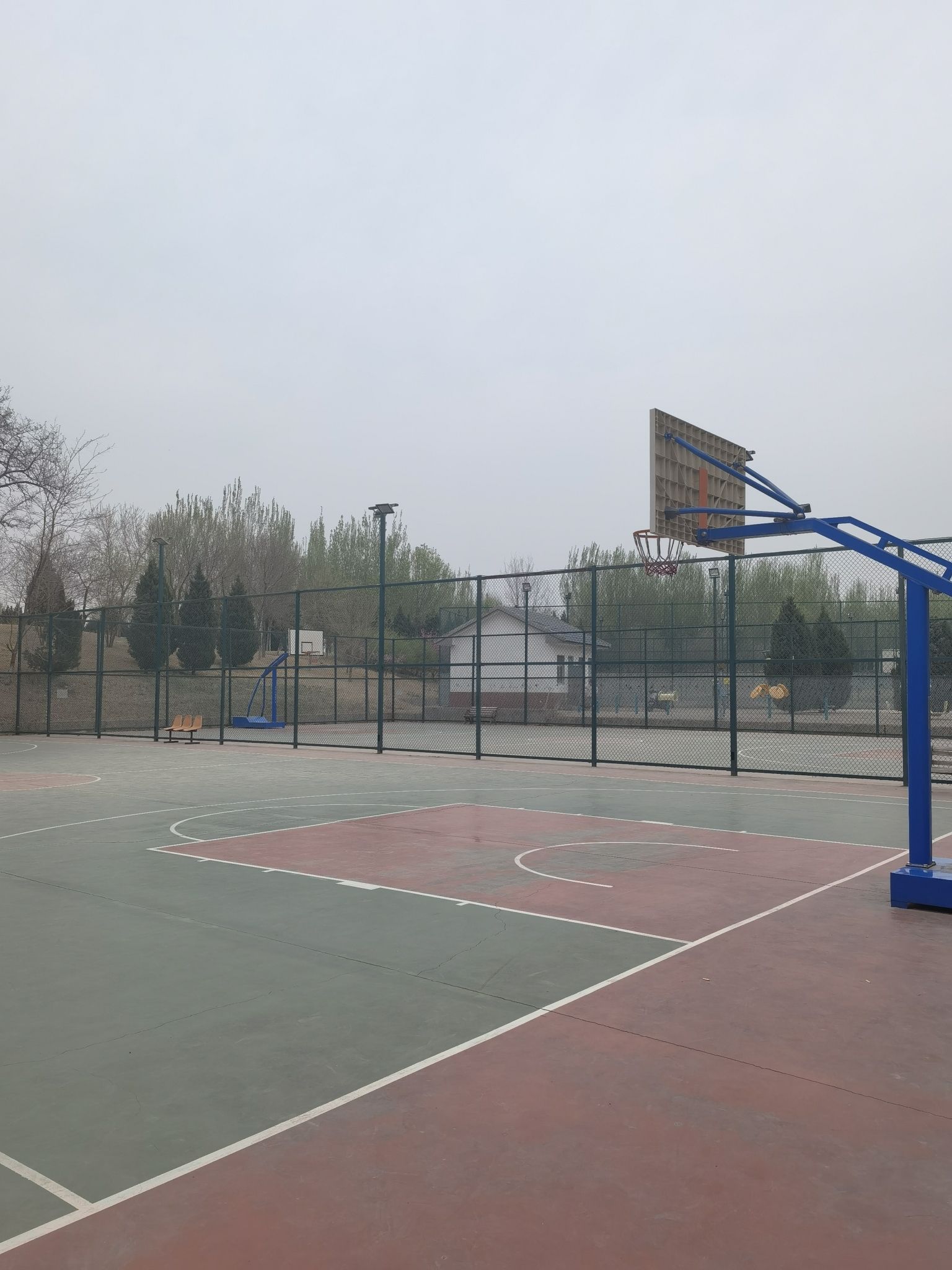 勇士营郊野公园旅行图片 1