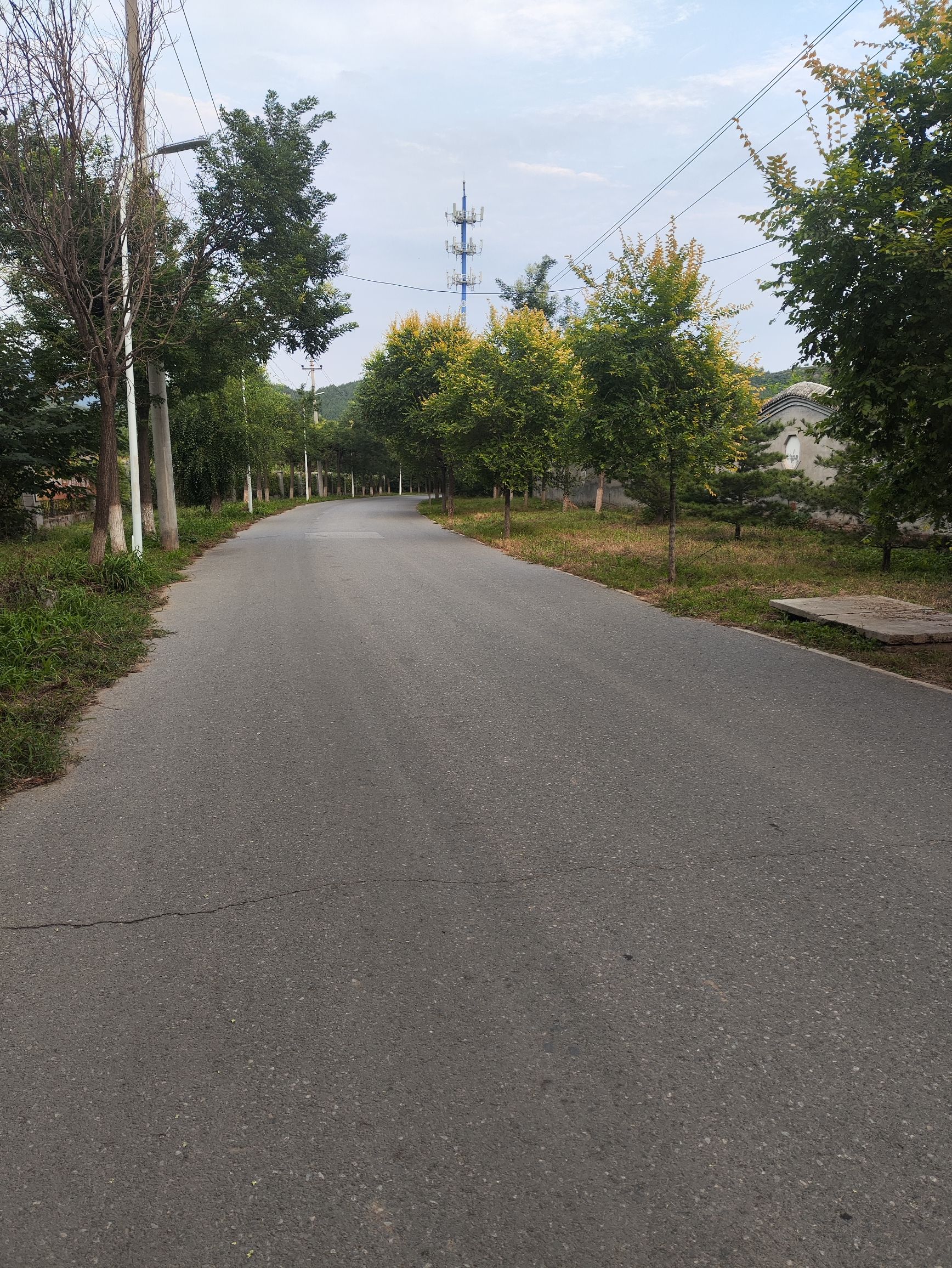 北山公园旅行图片 1