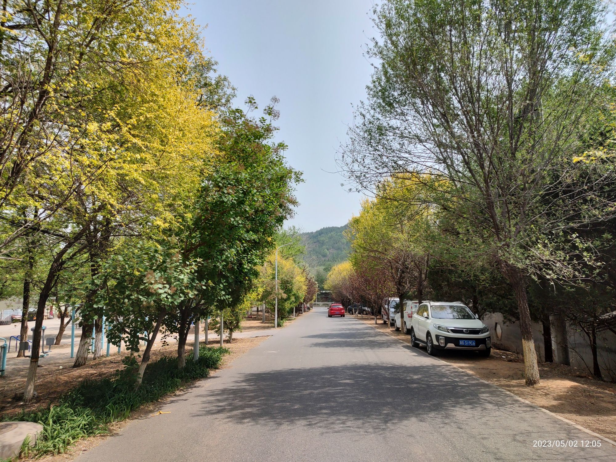 北山公园旅行图片 2