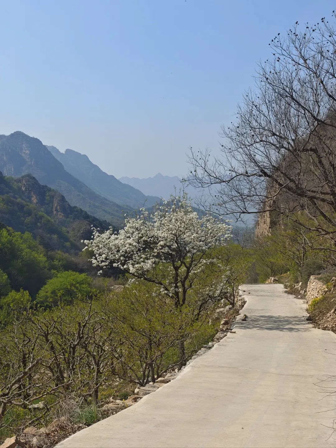 中国玻璃台旅行图片 3