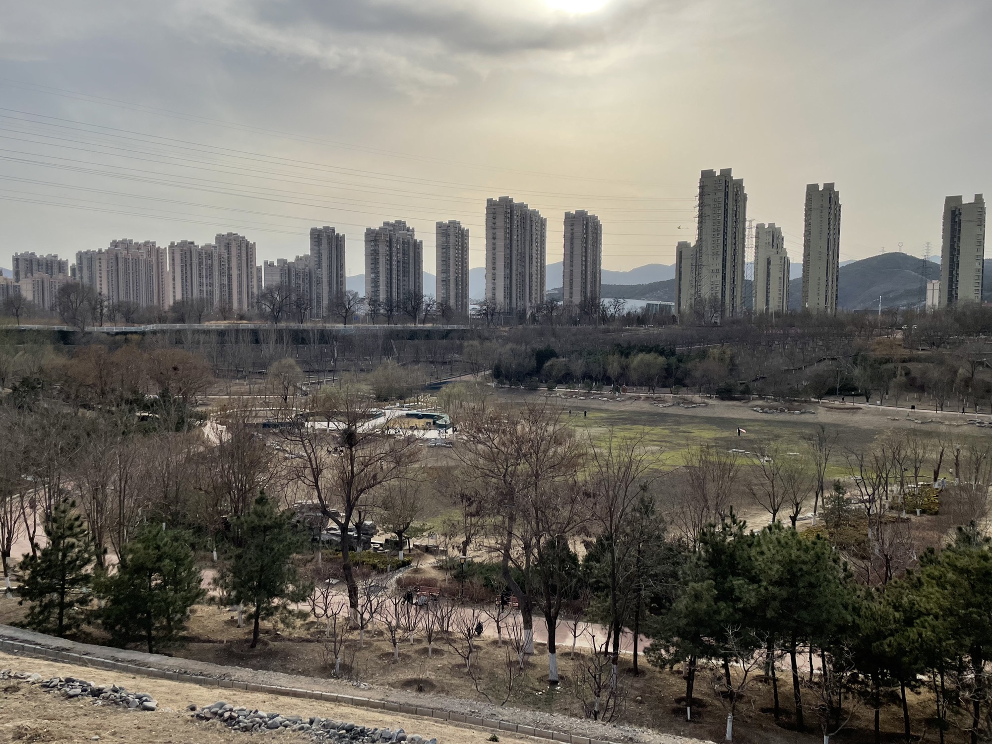 绿海运动公园旅行图片 1