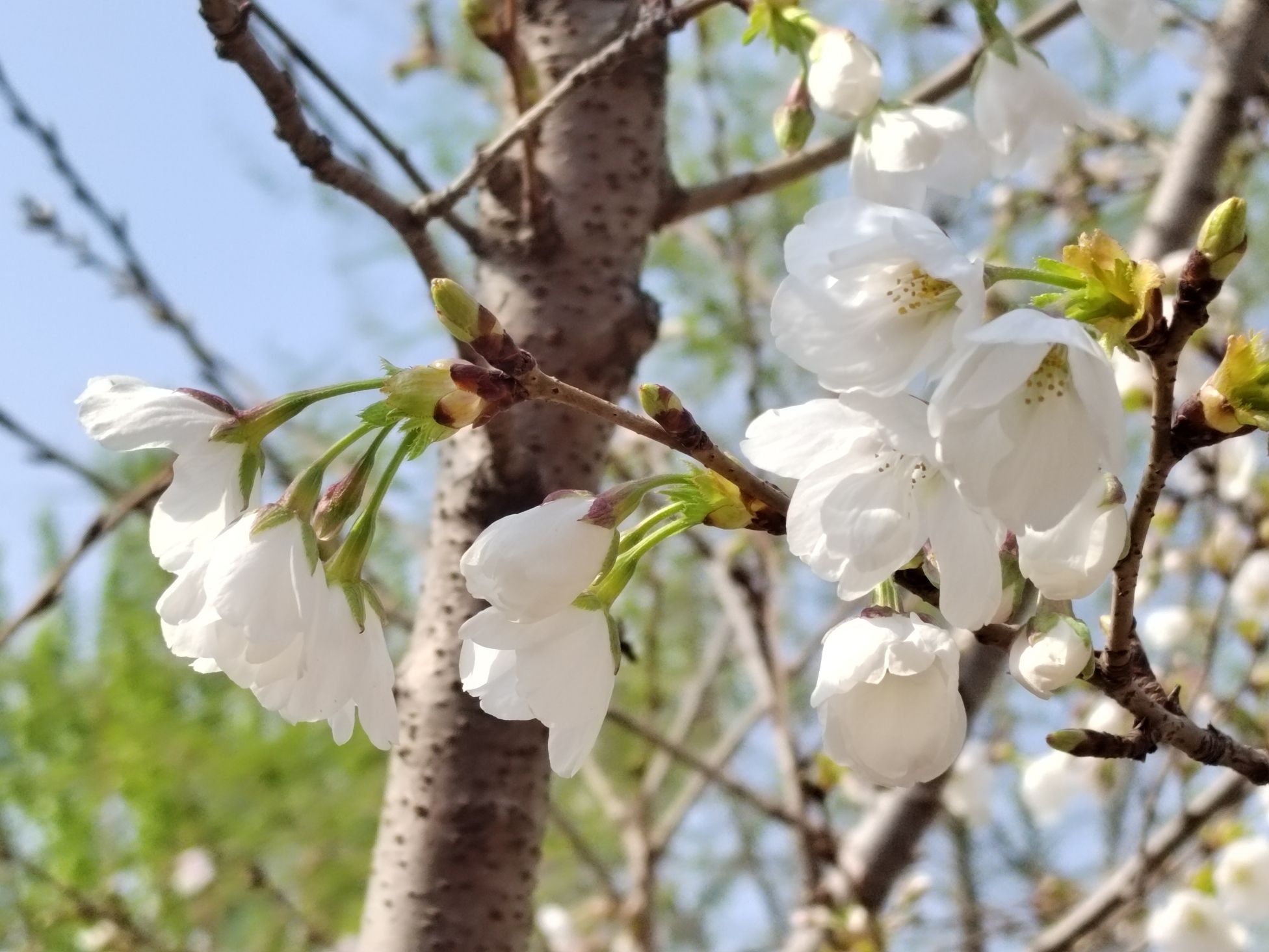 绿海运动公园旅行图片 3